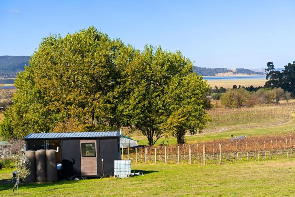 Rae at Lake George Winery by Tiny Away