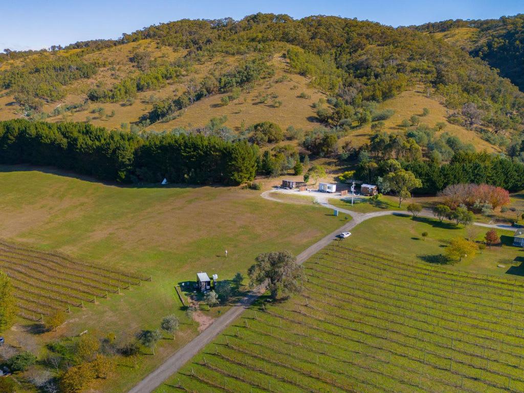 Rae at Lake George Winery by Tiny Away
