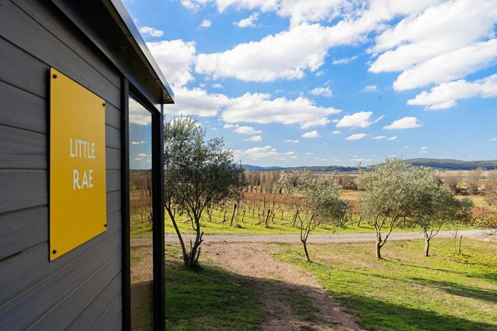 Rae at Lake George Winery by Tiny Away