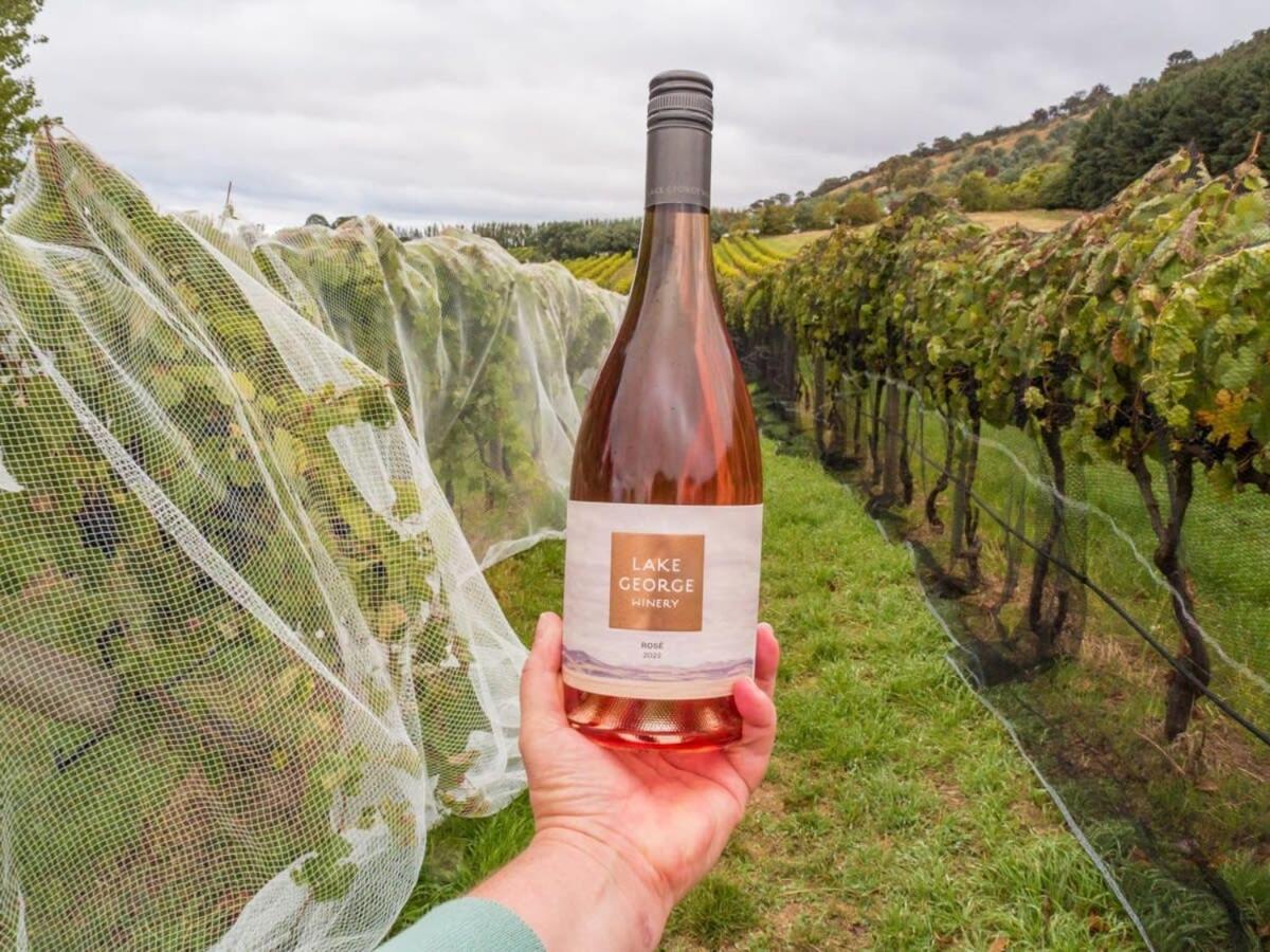 Rae at Lake George Winery by Tiny Away