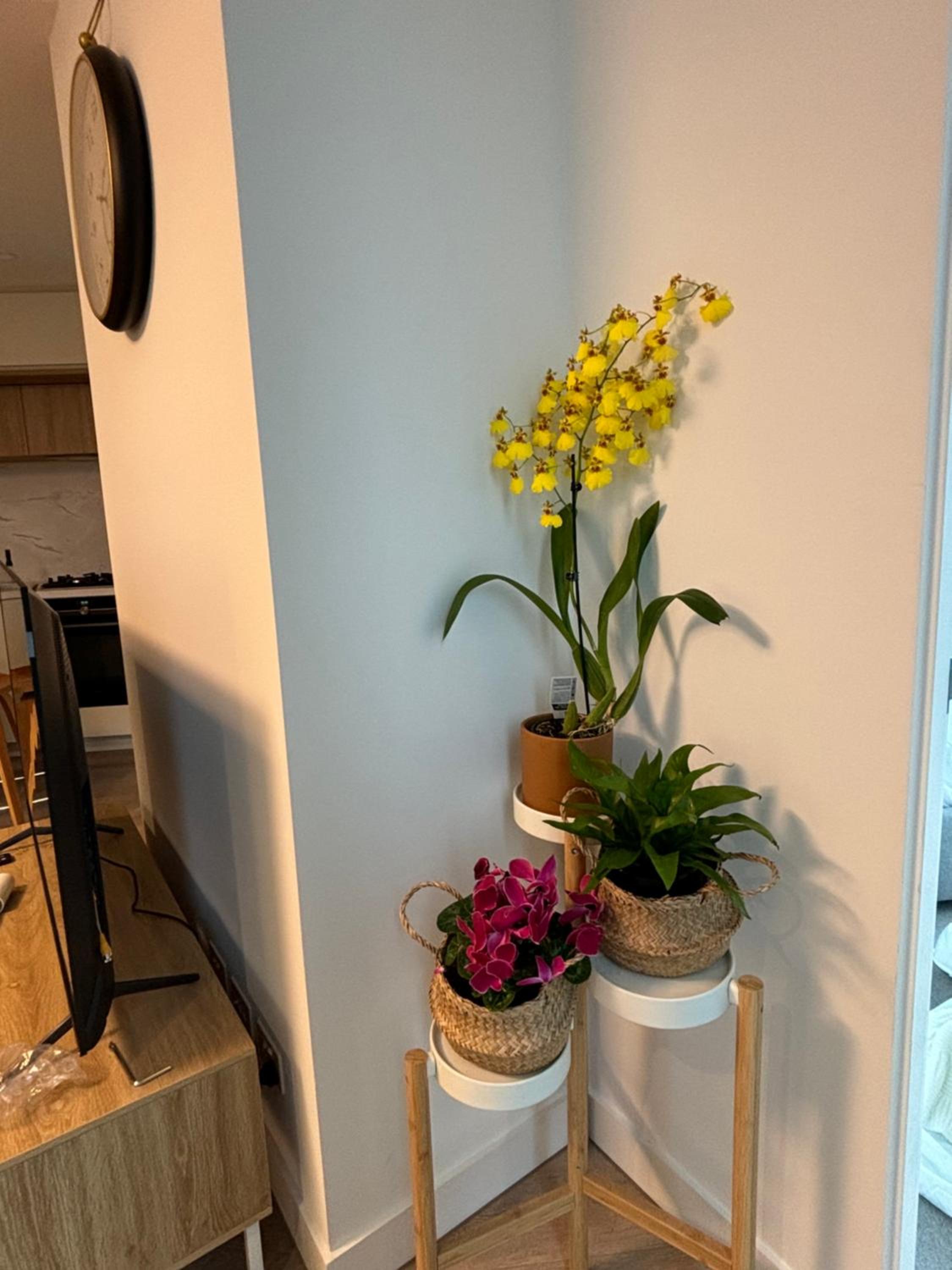 Melbourne Luxury Apartment 2BR 2TB