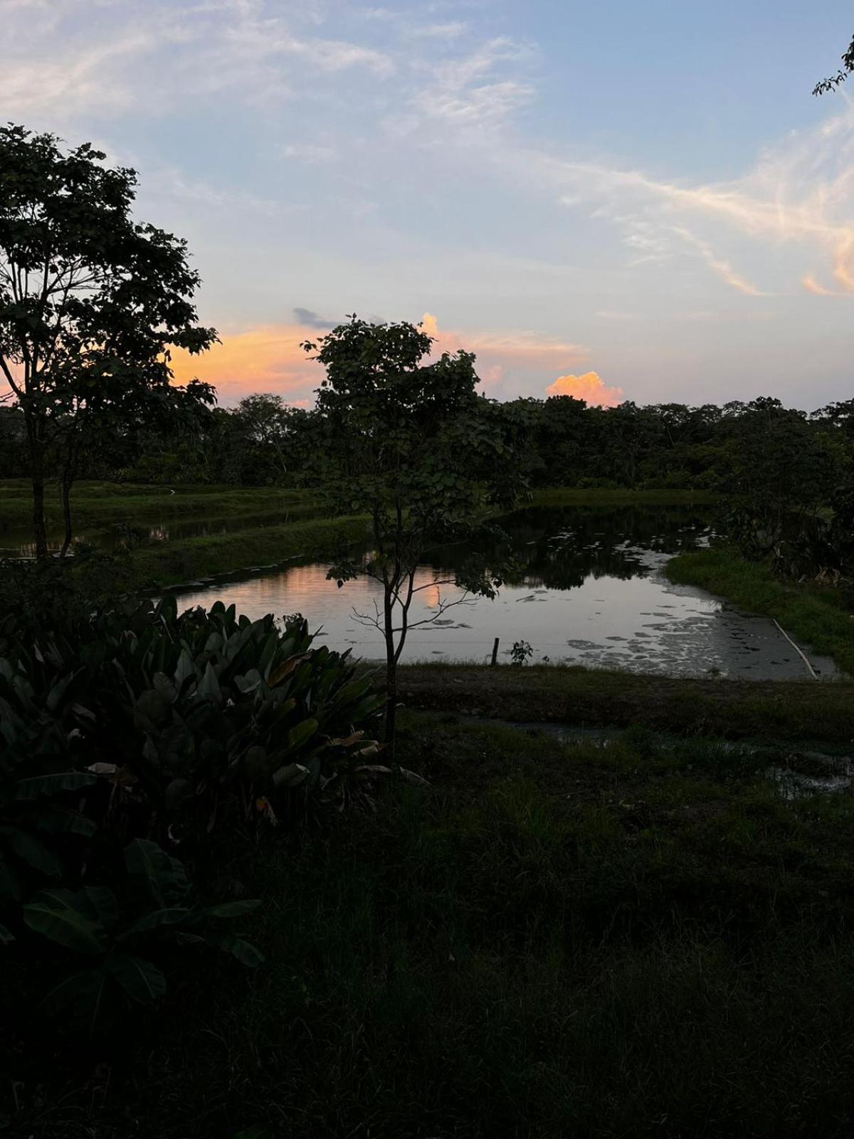 Paraíso Natural