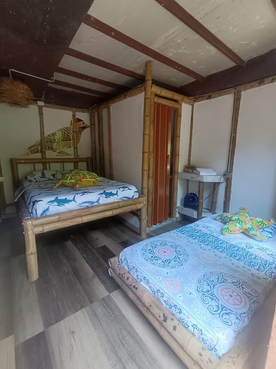 Bio Coliving Tayrona -Espacio para vivir trabajar y descansar en naturaleza