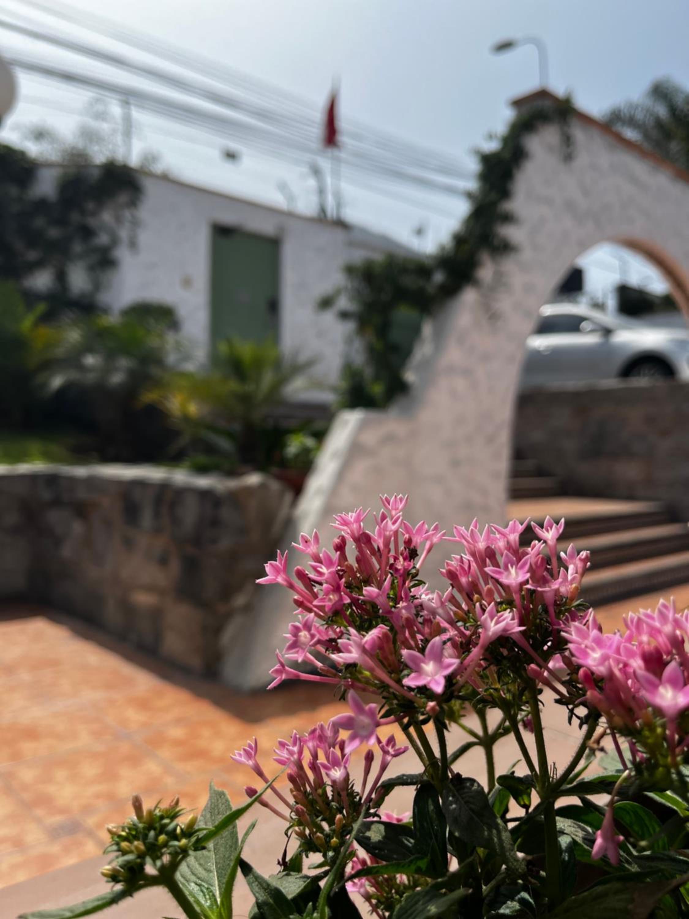 CasaLola las lagunas