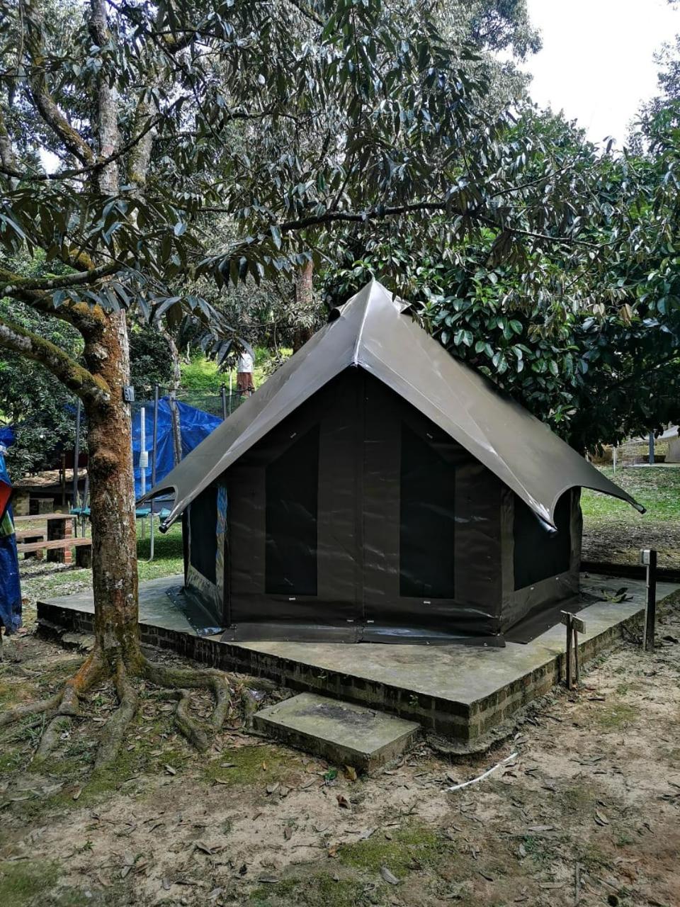 Rasa Durio Eco Glampz photo 6