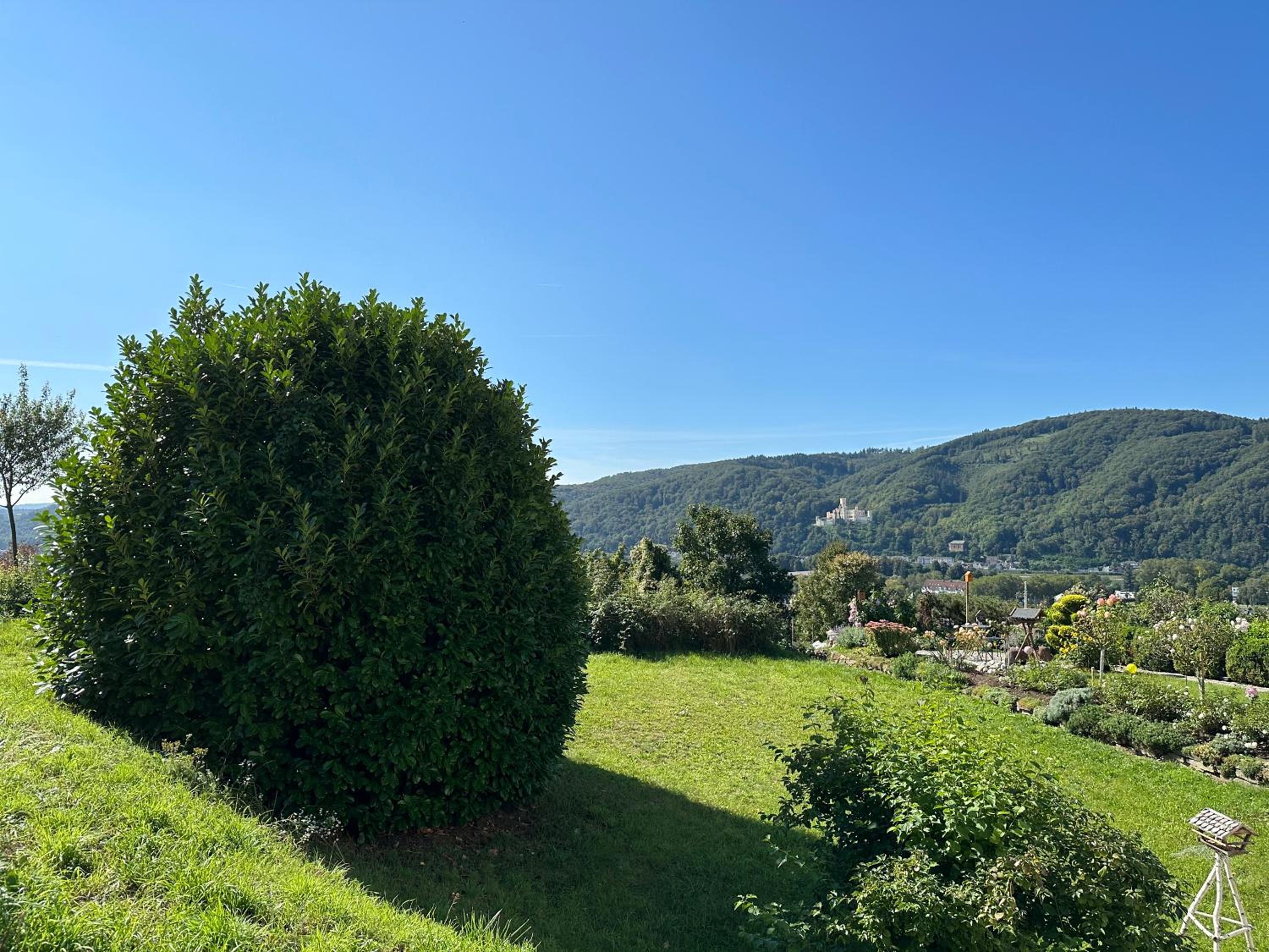 Ferienwohnung Rhein-Panorama