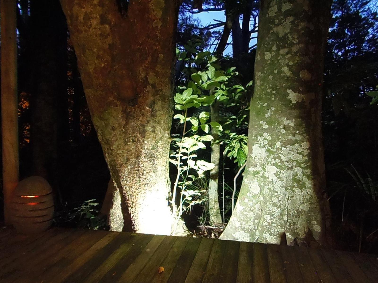 Nikau Sanctuary