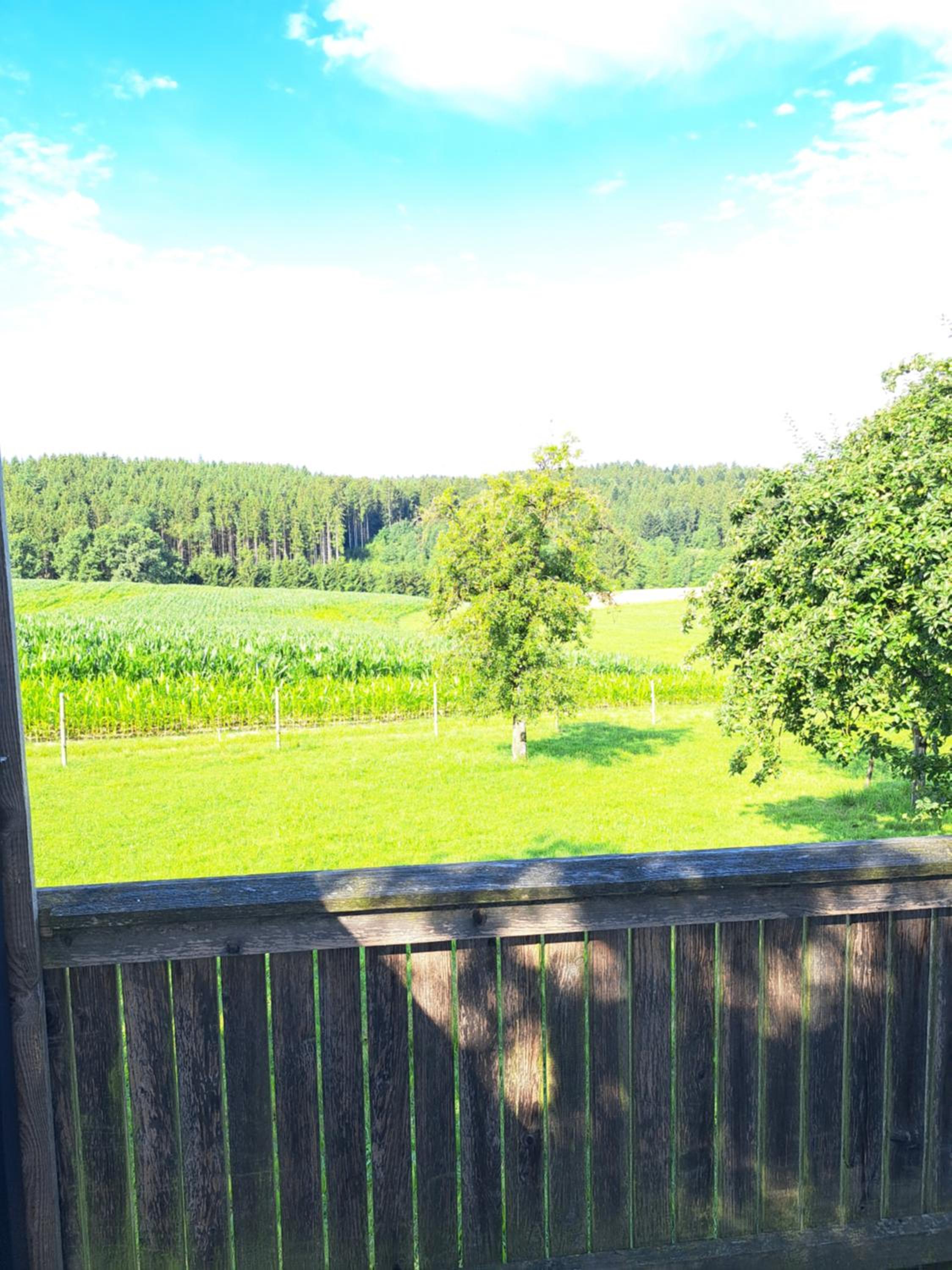 Haus Waldblick