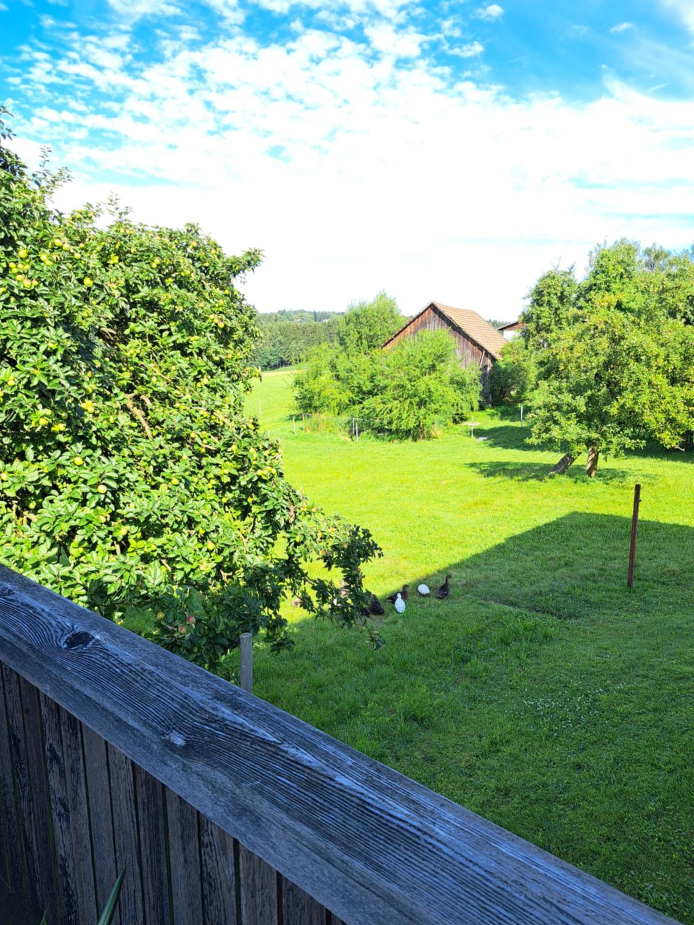 Haus Waldblick