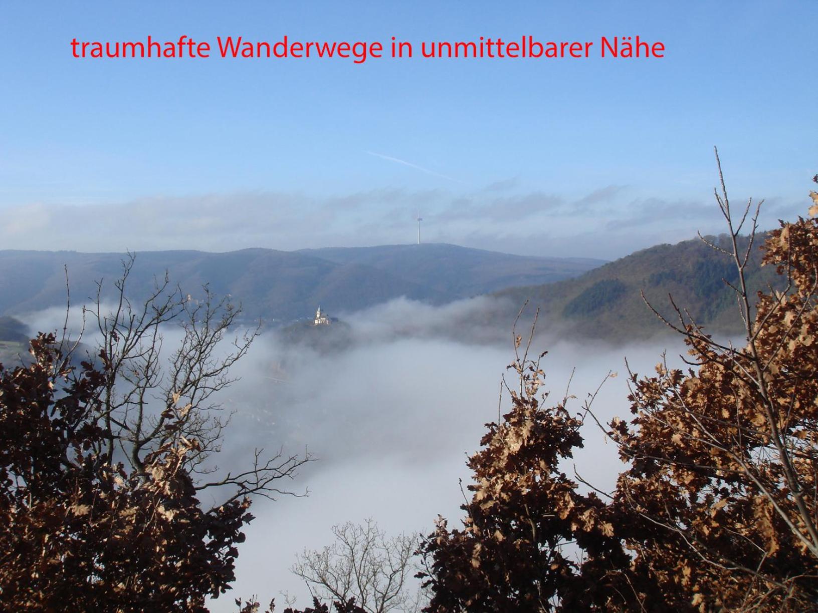 Ferienwohnung Rhein-Panorama