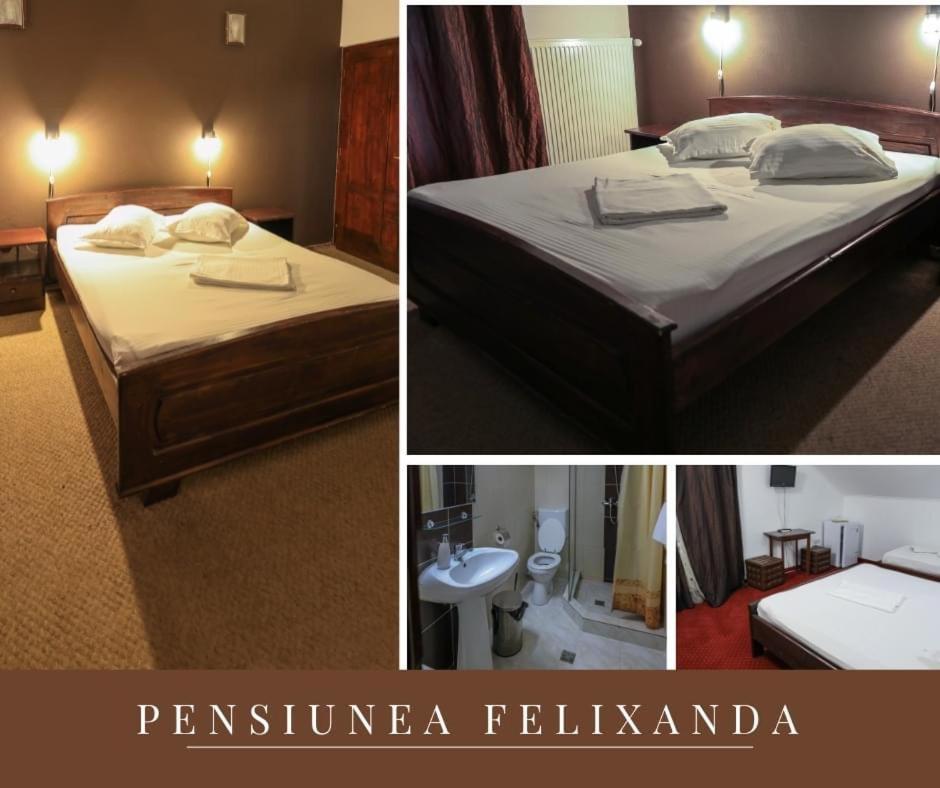 Pensiunea Felixanda view 3