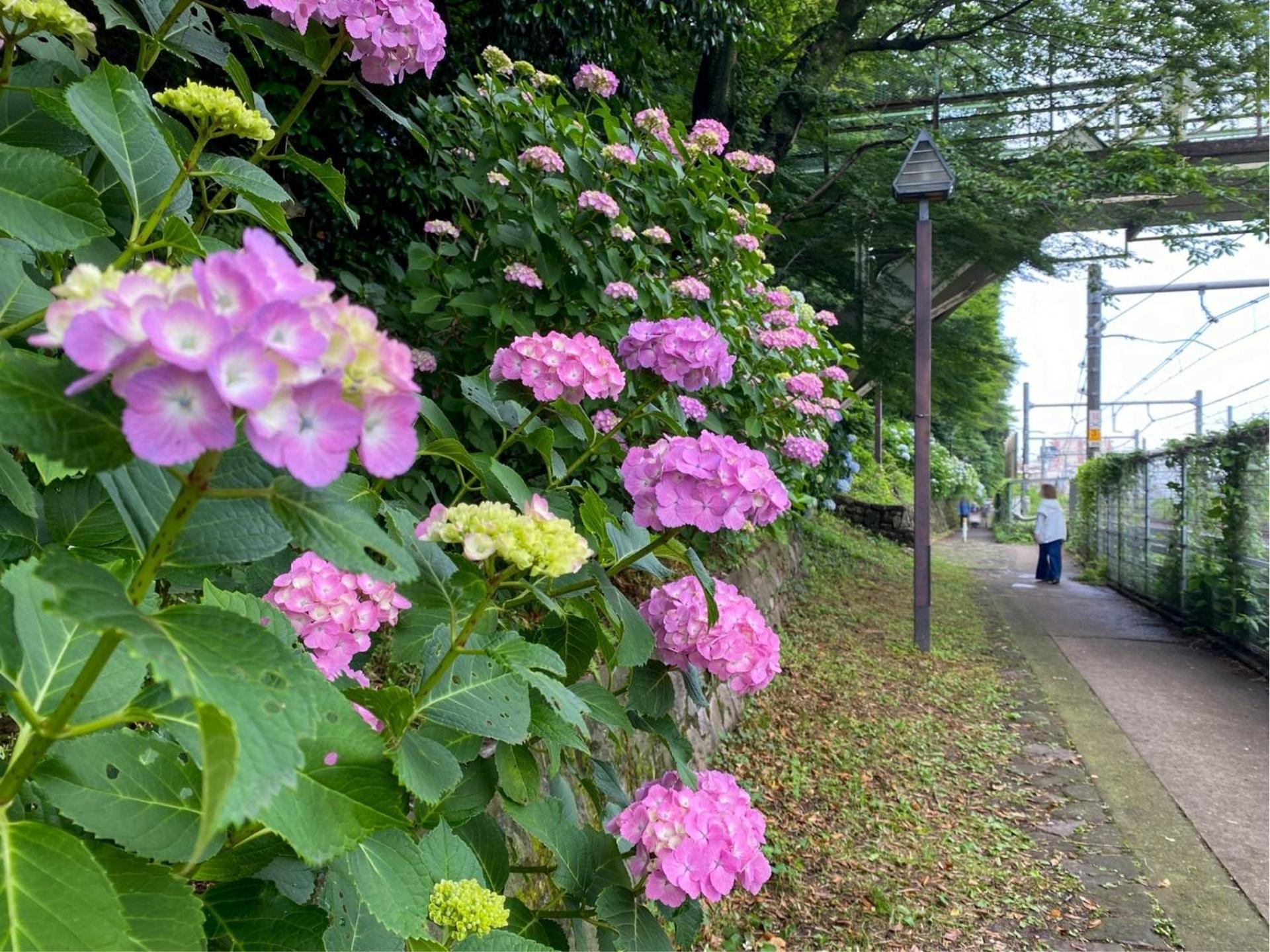 Bisk Park Higashijujo - Vacation STAY 83637v