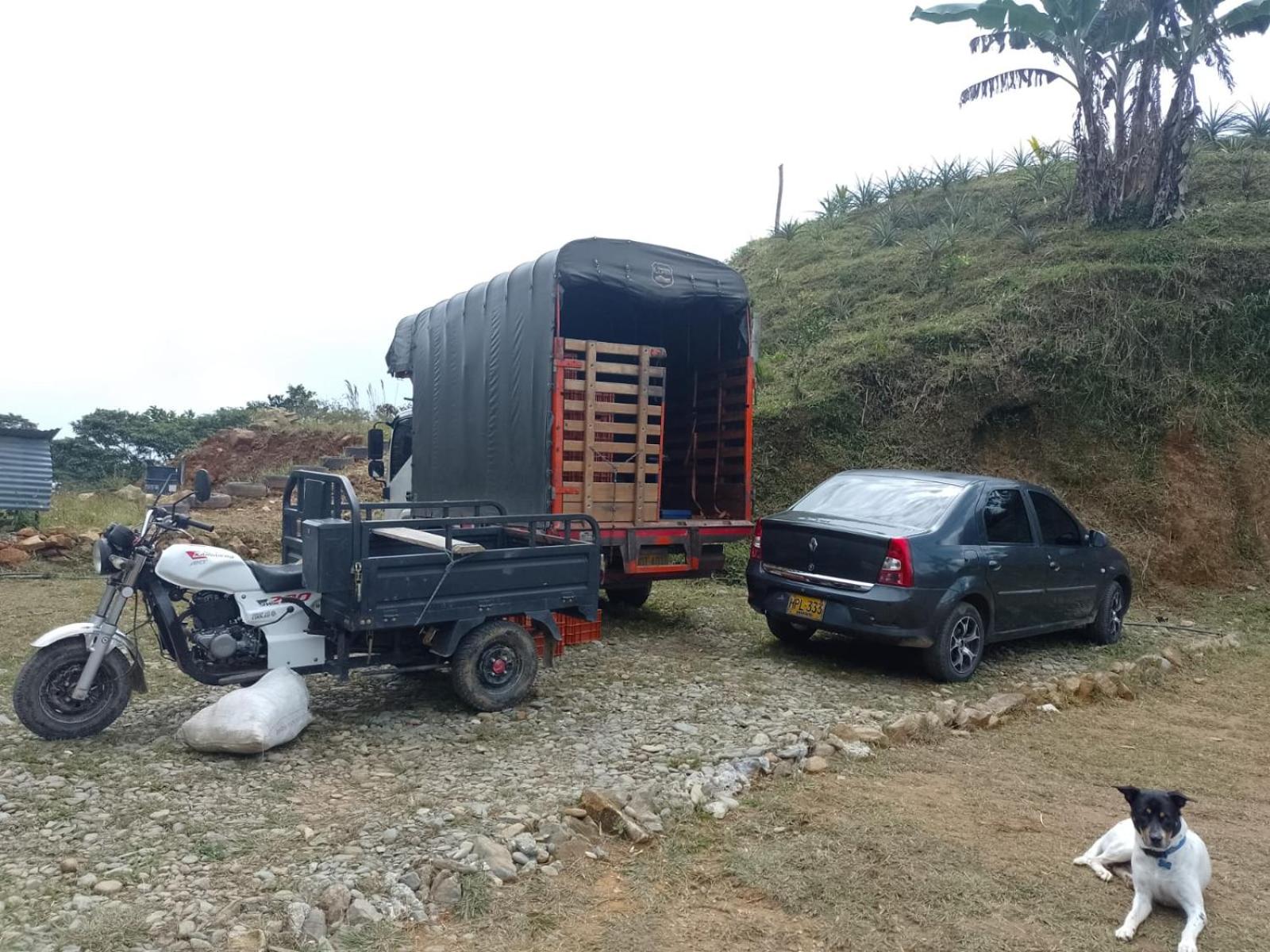 Finca La Palma