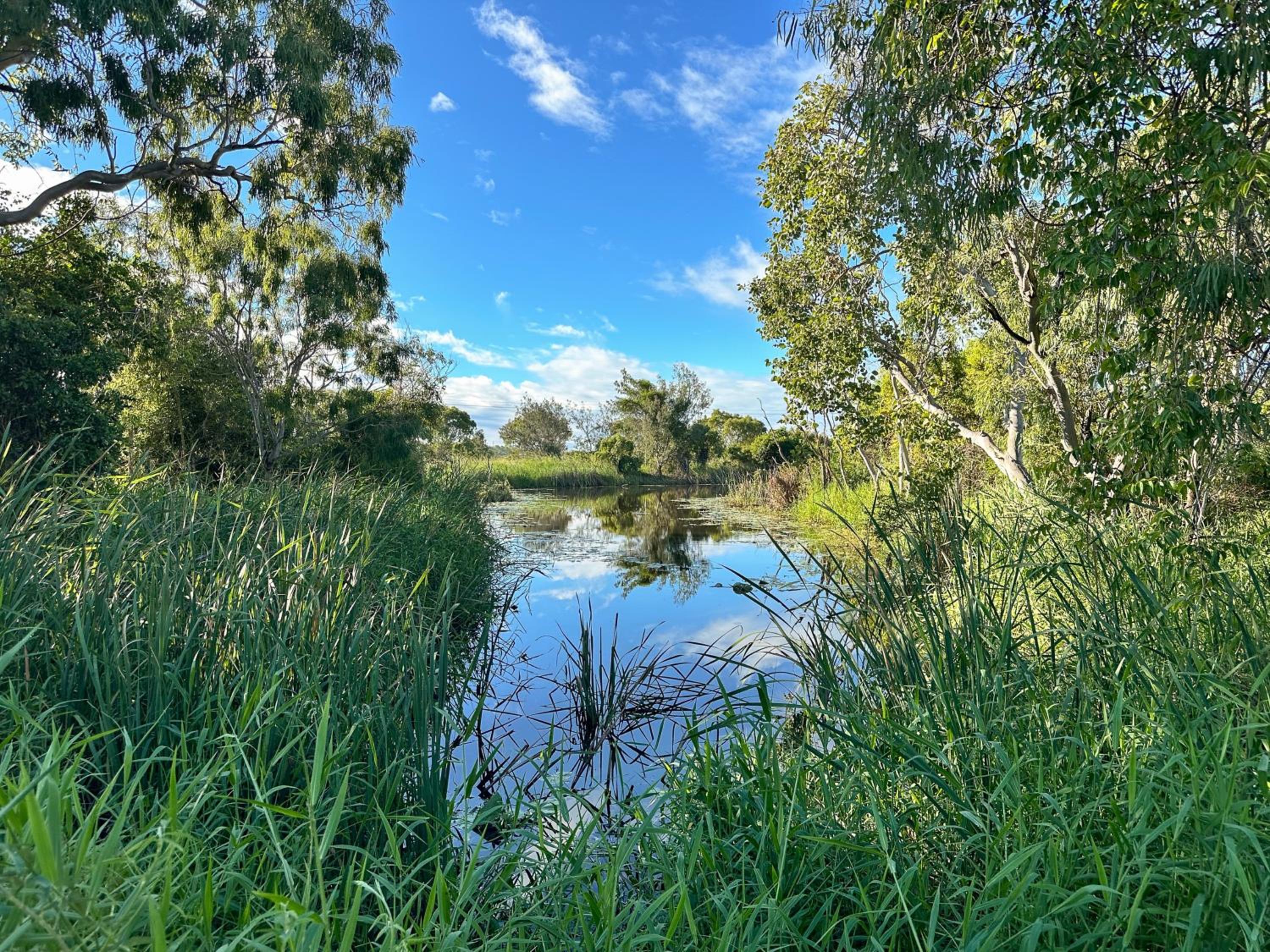 Serene Vibes at Lakewood
