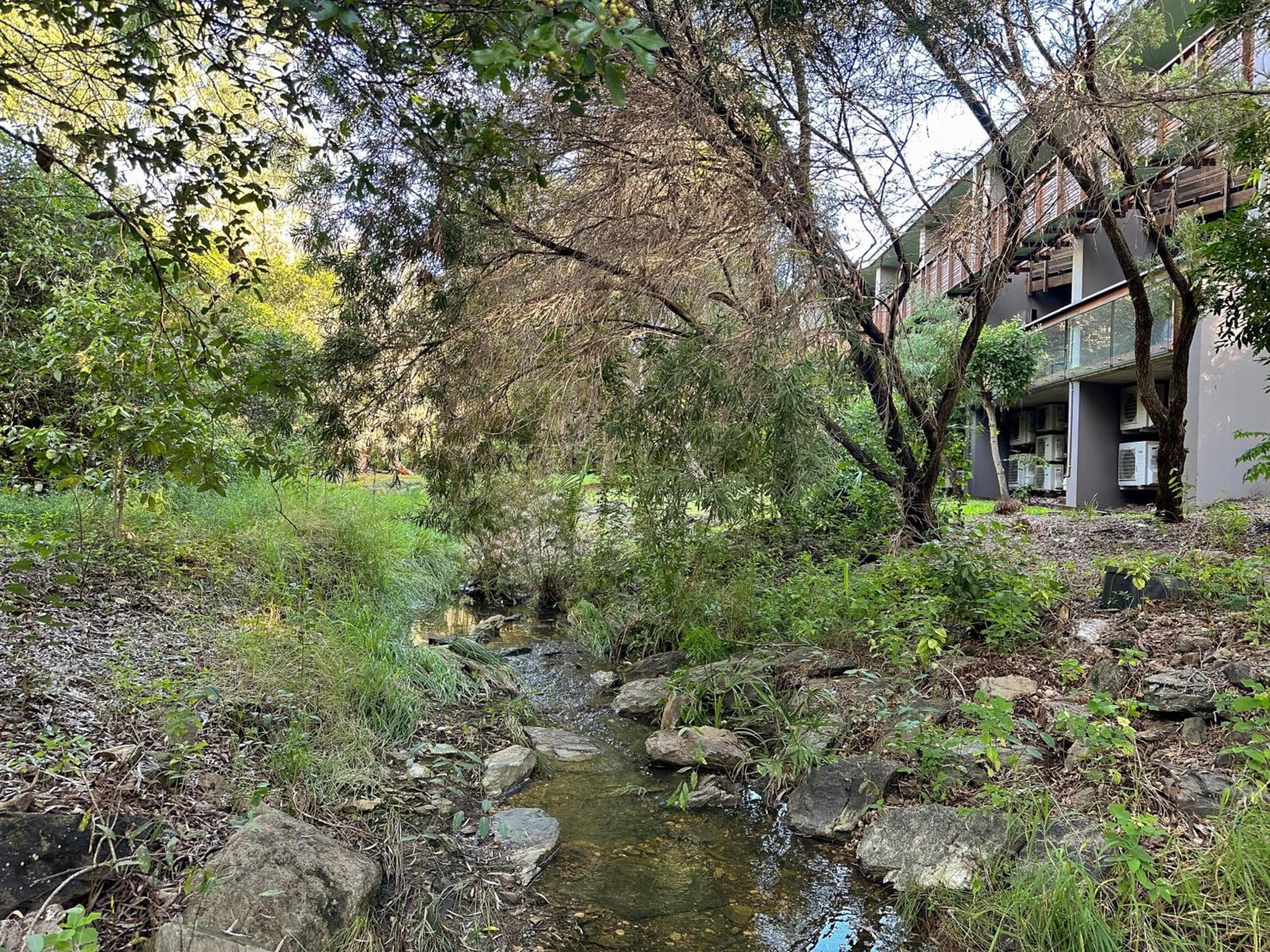 Serene Vibes at Lakewood