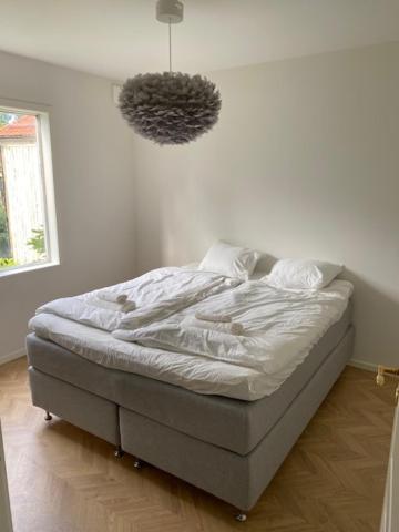Apart City Rentals - City Center - Free Parking view 4