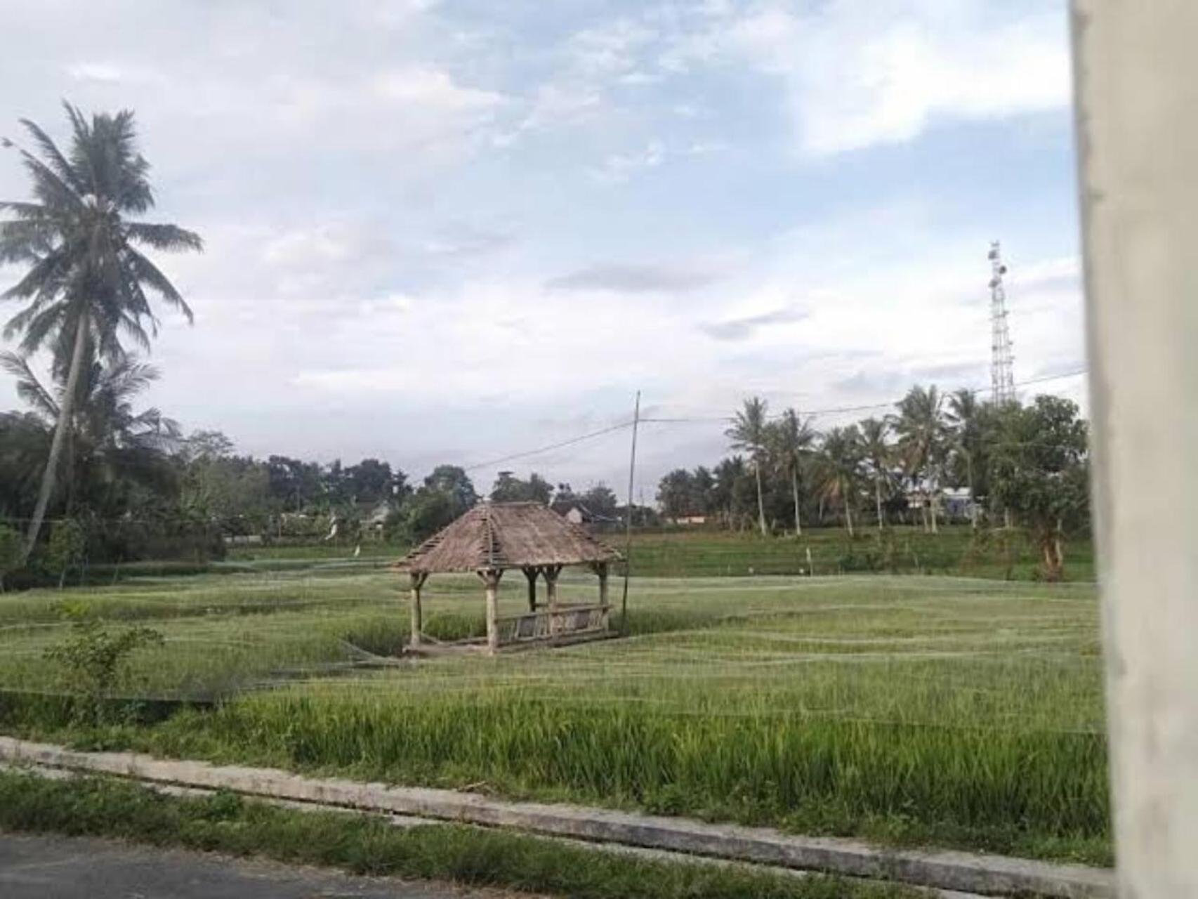 Photo 43