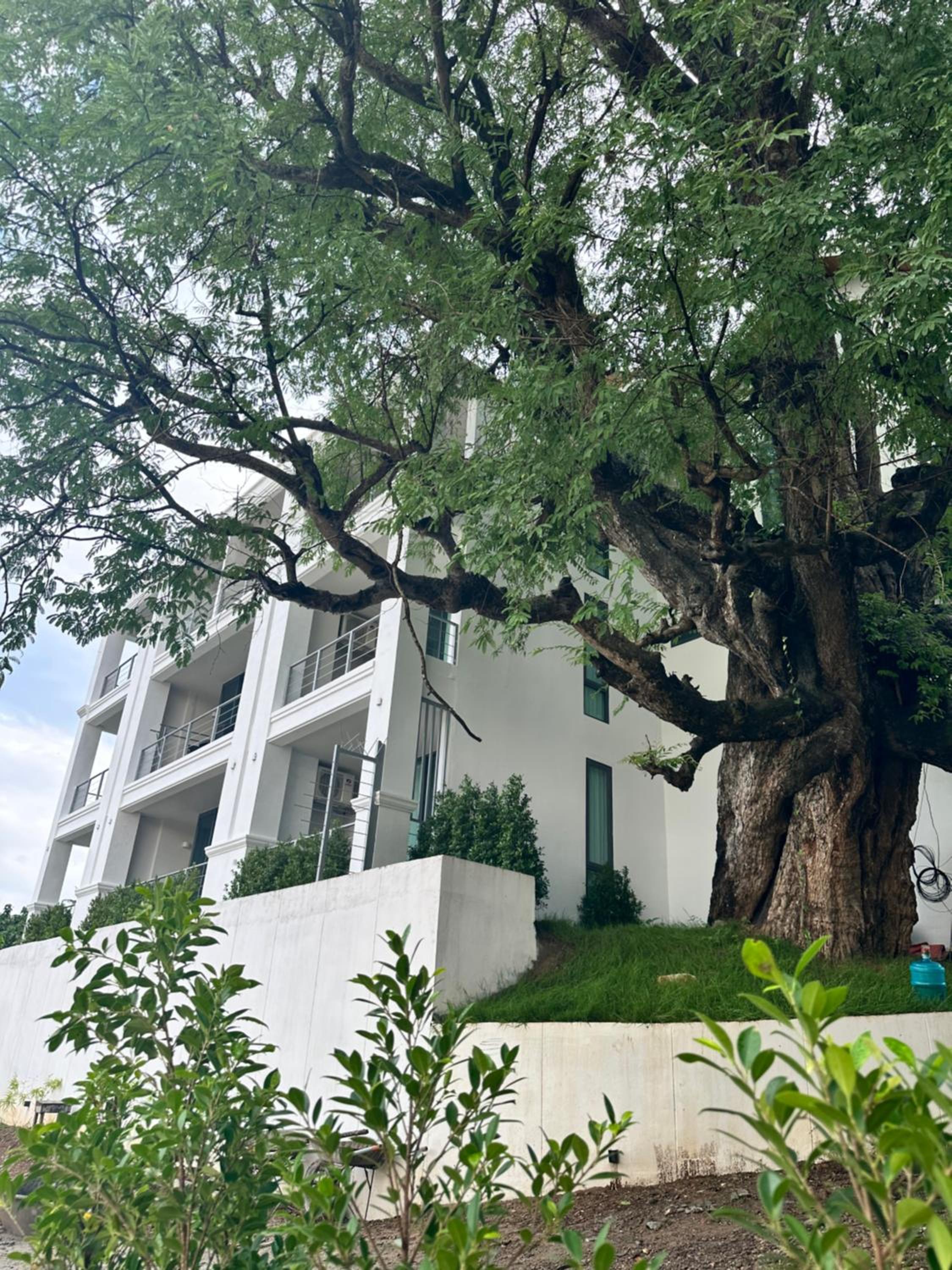 Sokview Residence