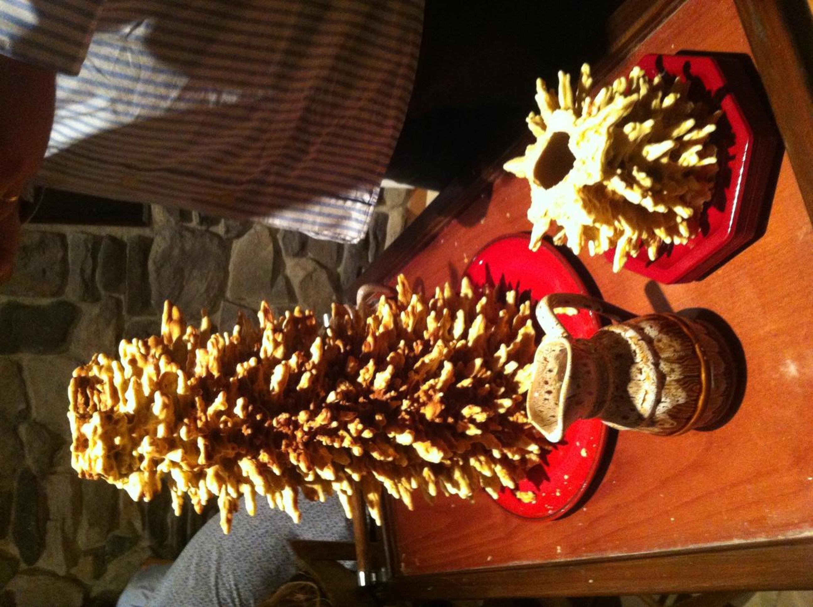 Photo 31