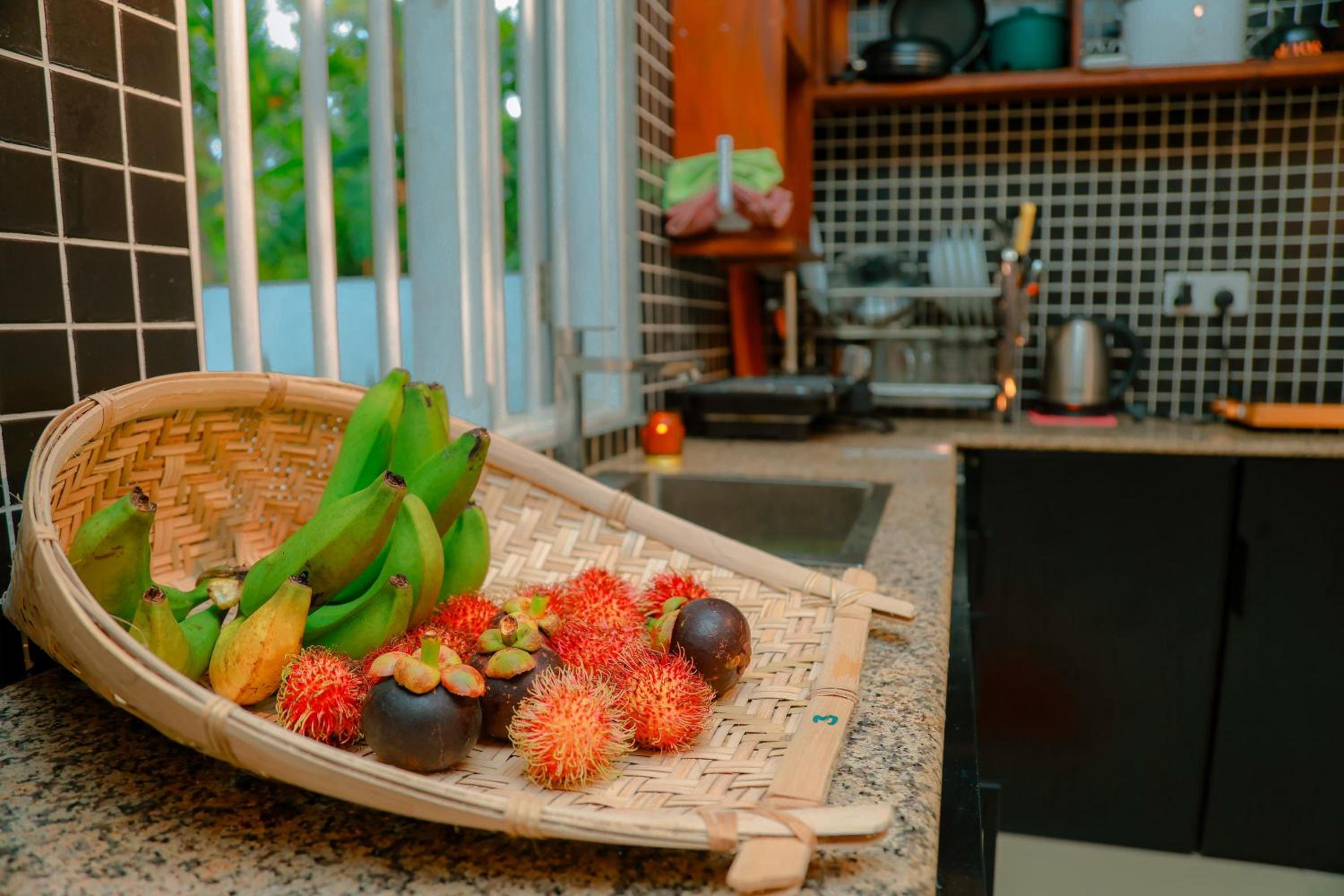 Bentota Hideaway