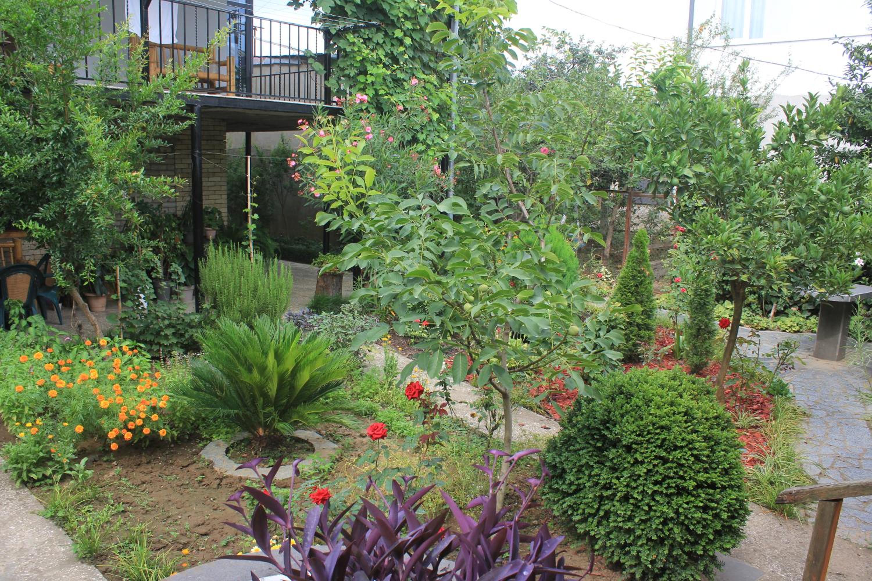 Photo 20