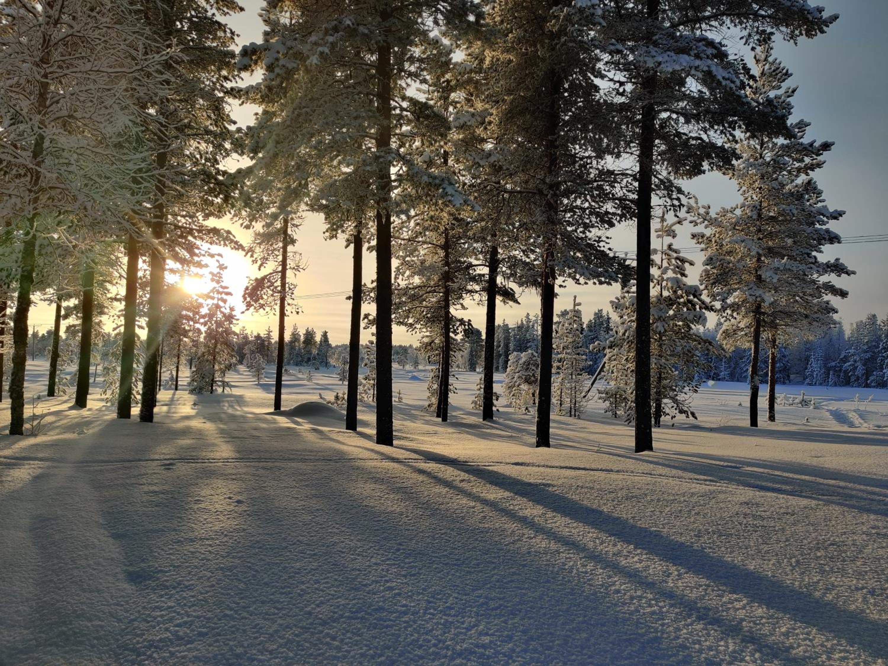 Vähäreinari, mökki Ylläksellä