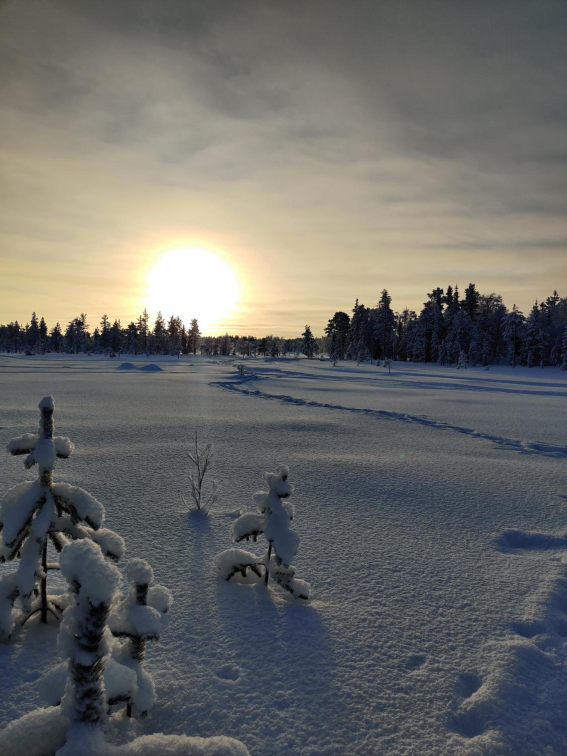 Vähäreinari, mökki Ylläksellä