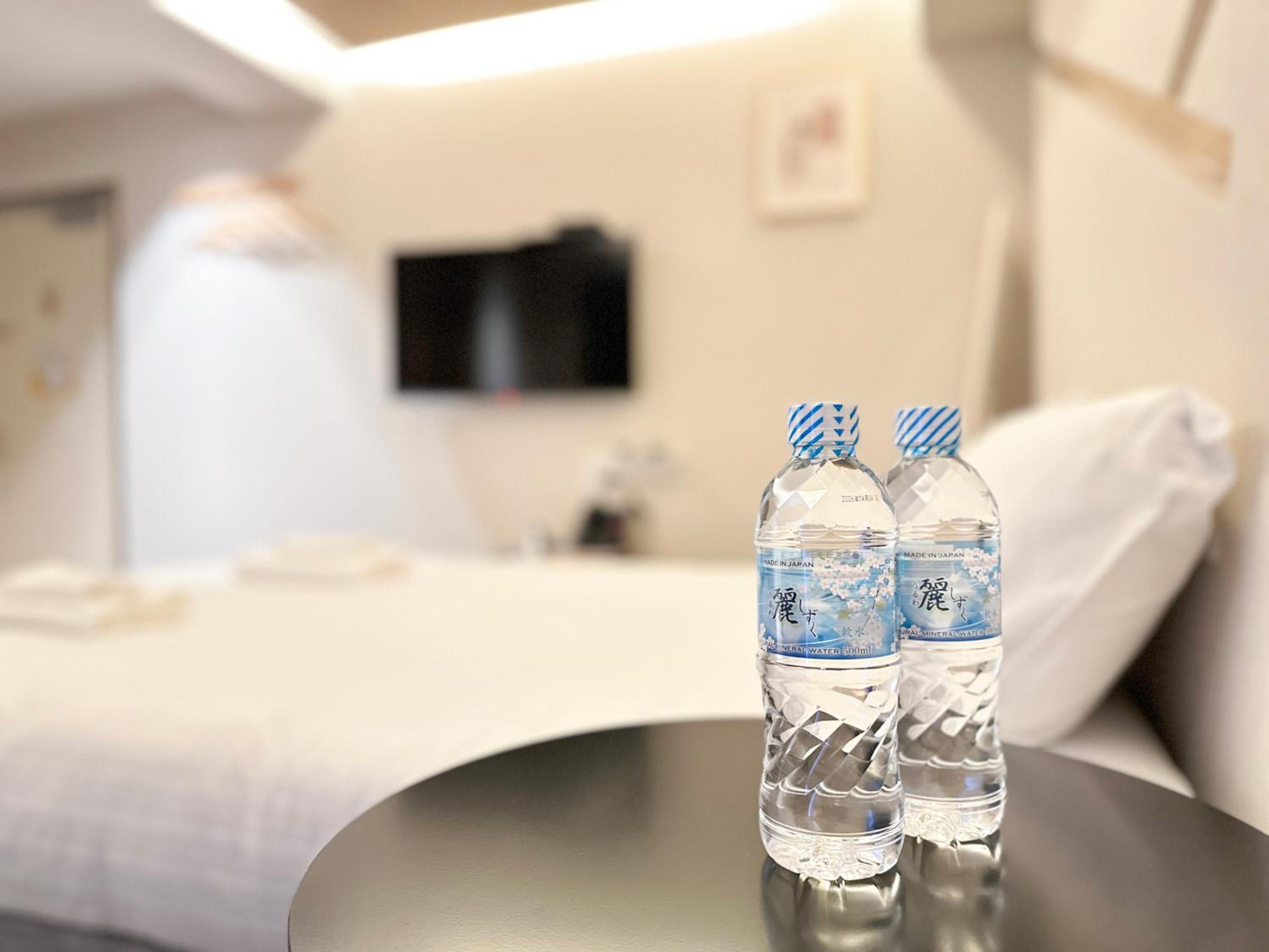 Osaka Ebisu Hotel 67