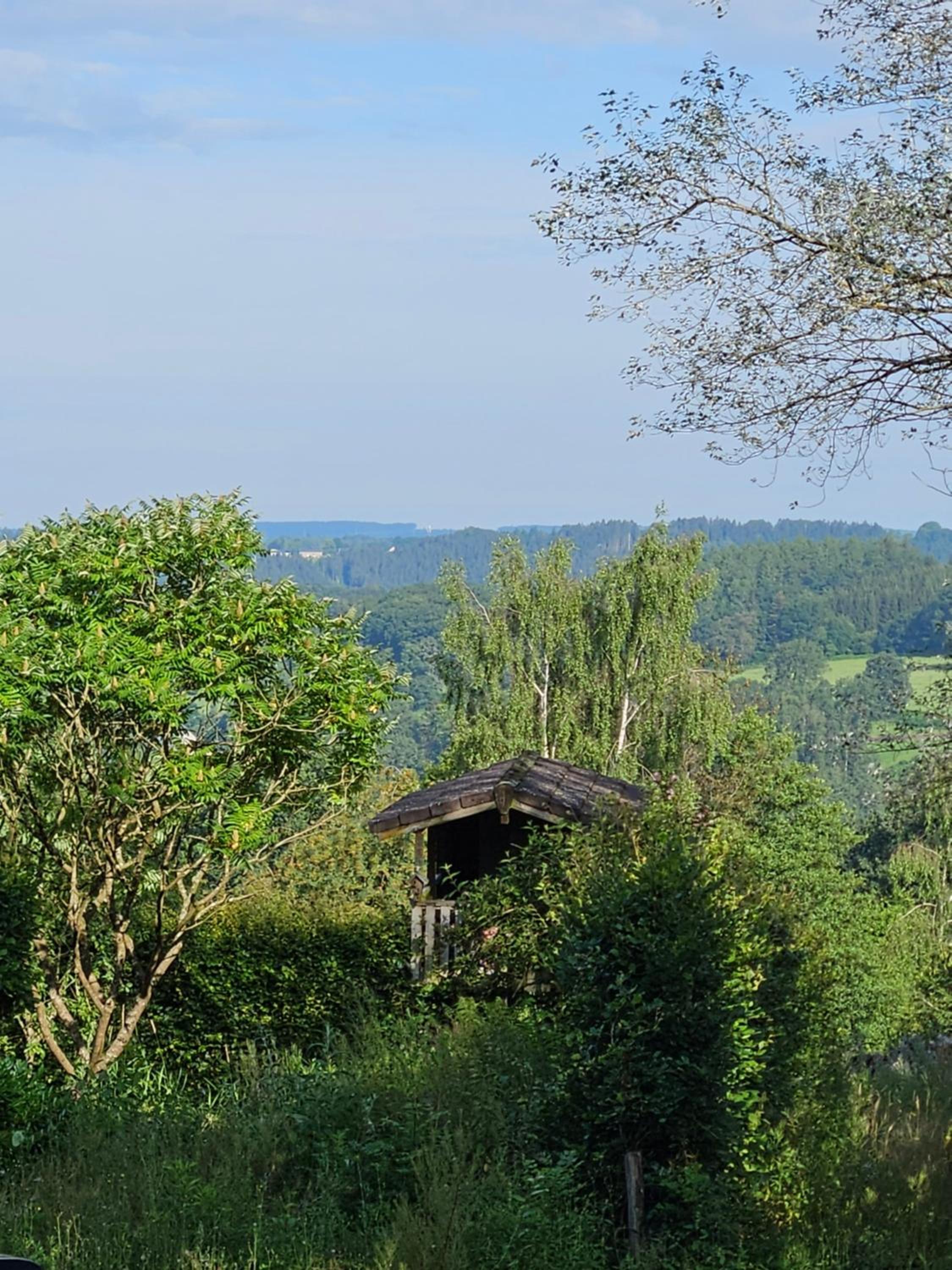 La petite fée