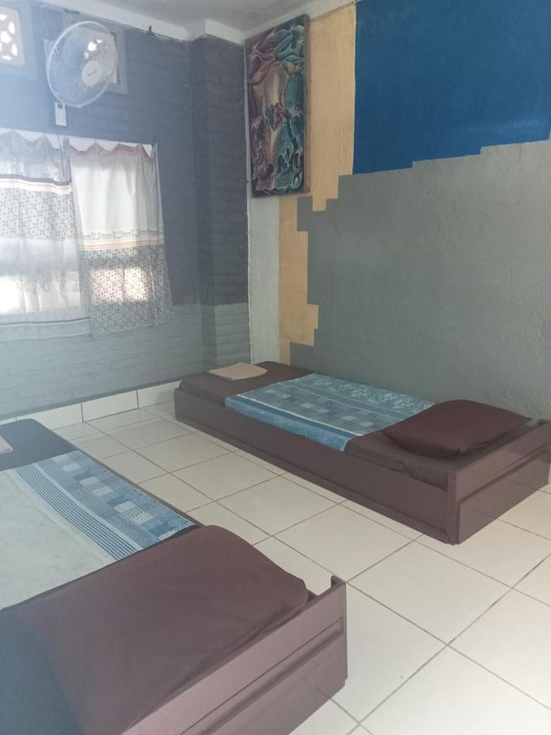 Apollo Hostel view 3