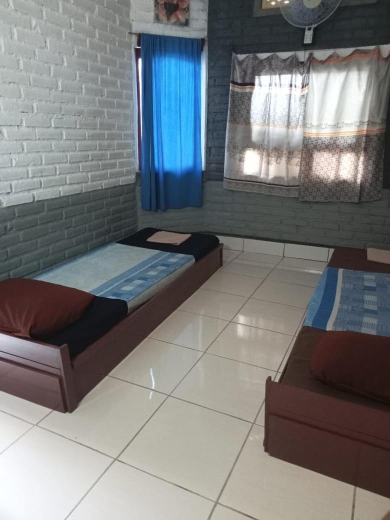 Apollo Hostel view 4