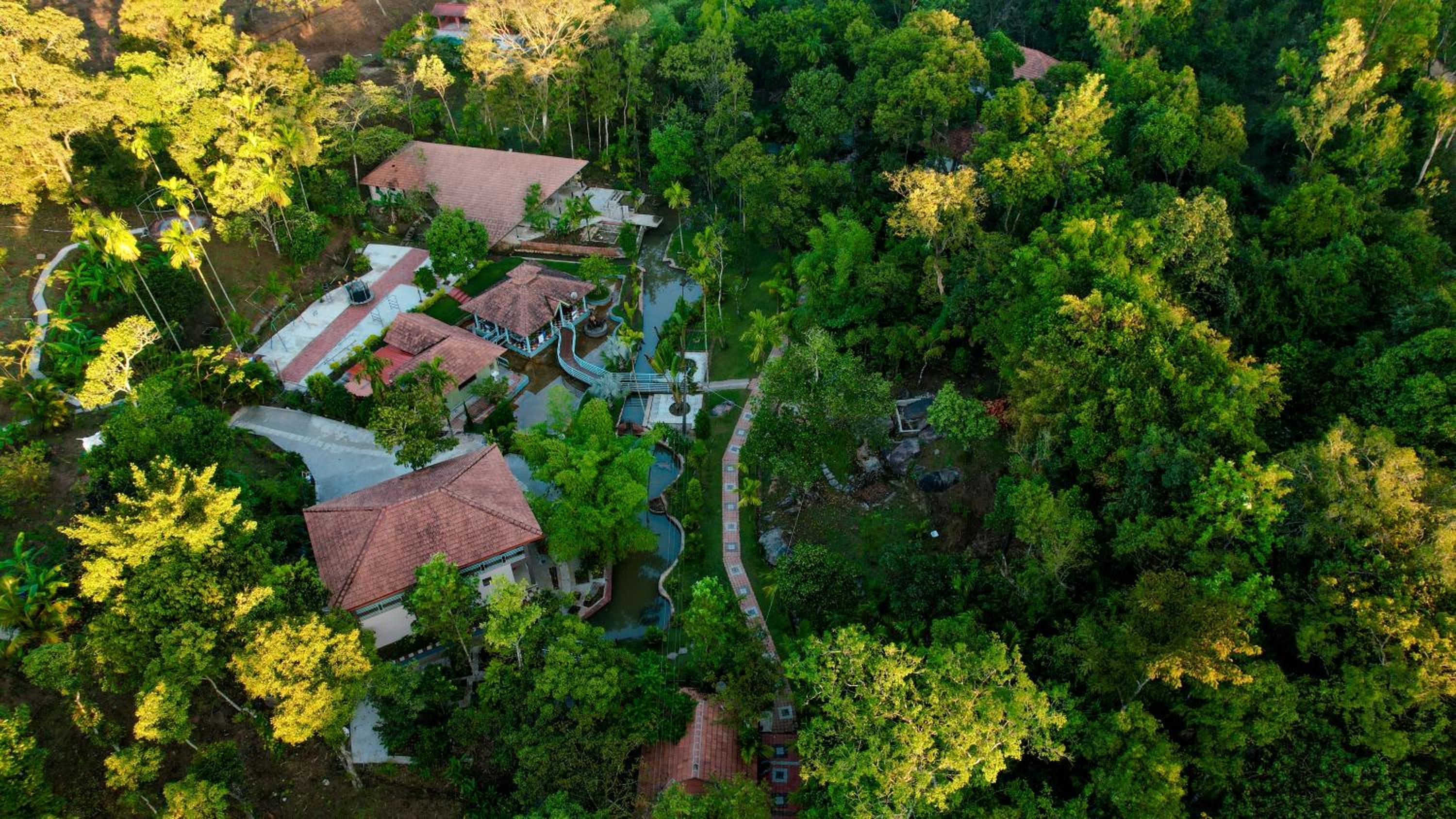Green Tree Resort view 5