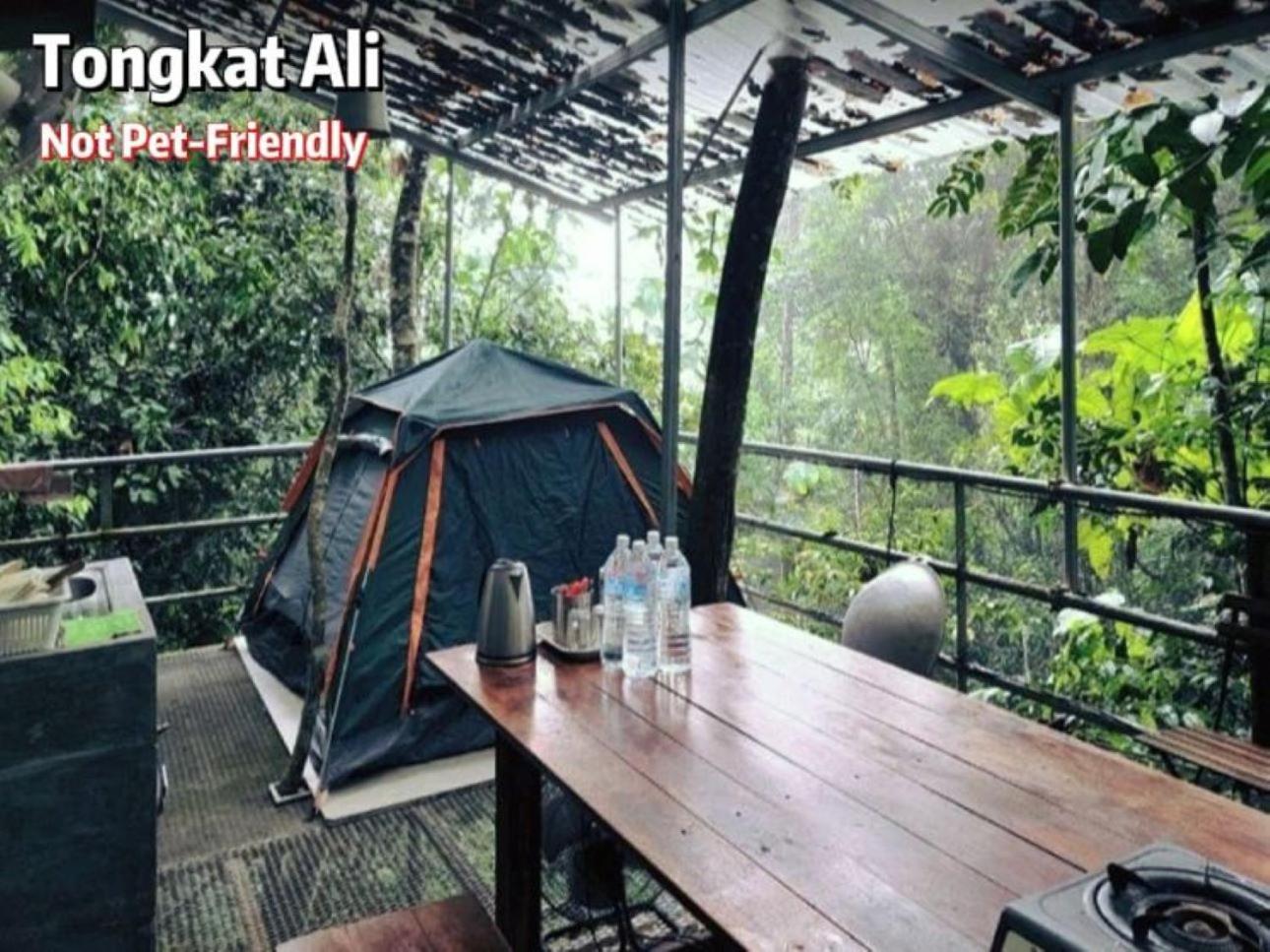 Gibbon Retreat Bentong photo 7