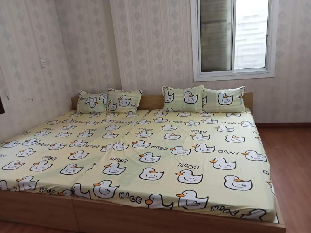 May Home - Căn hộ mini gần cầu Rồng view 3