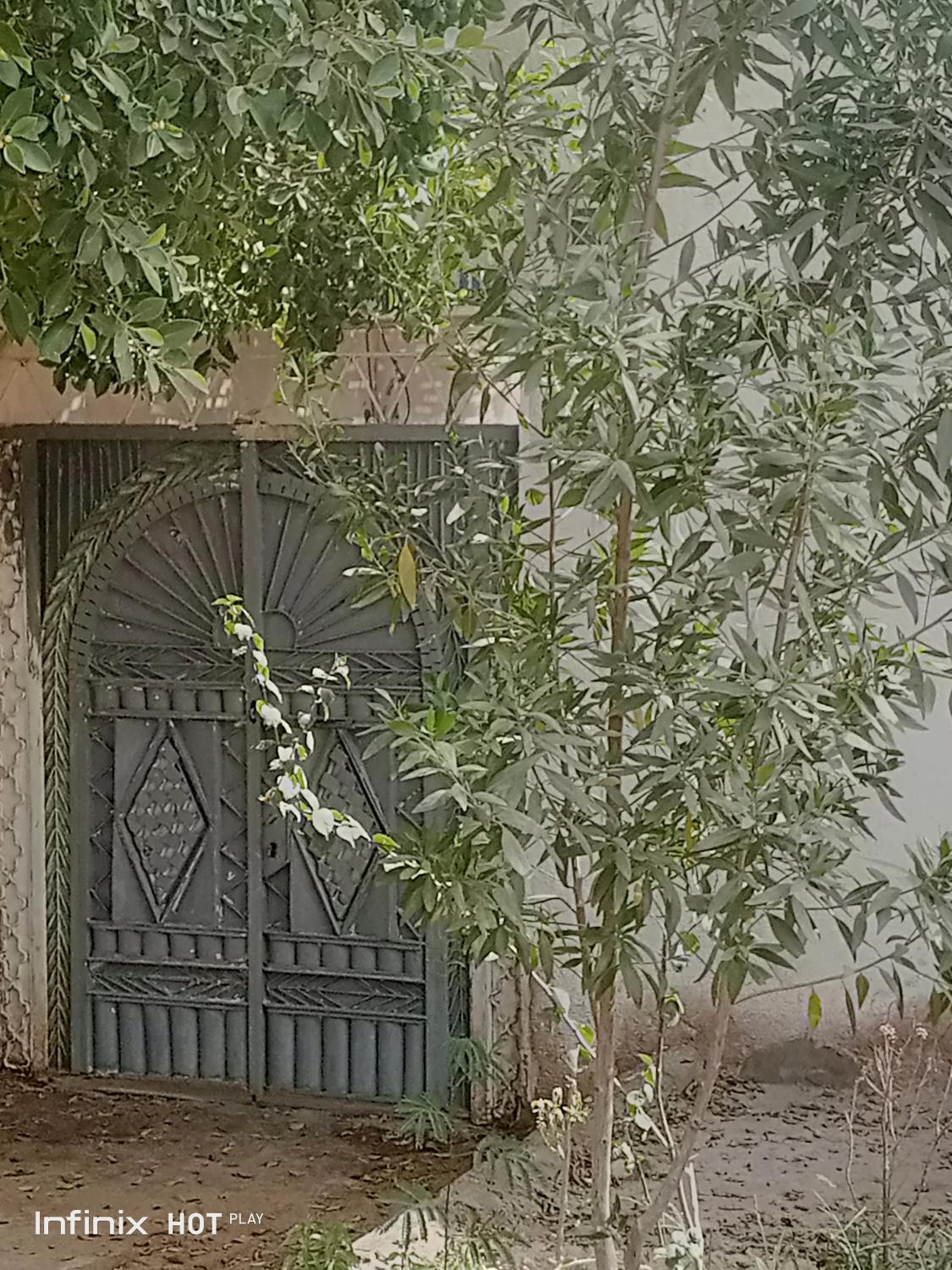 Sun shine house
