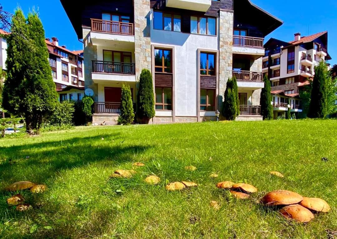 Pinewood ANG premium luxurious apartment 15