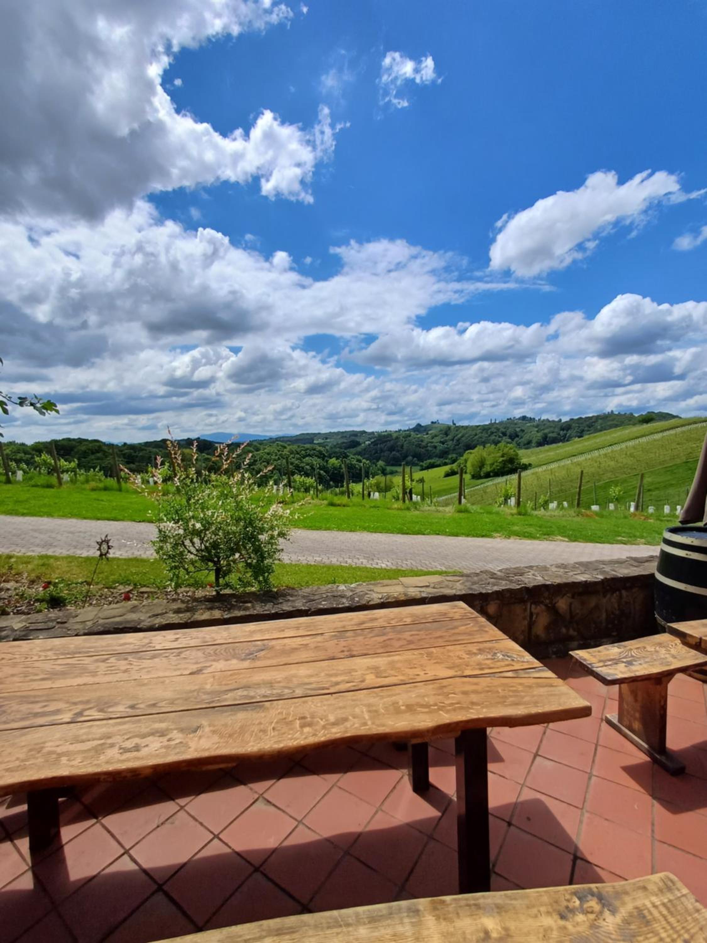 Herga Wine Estate - Old lady - Holiday Home view 3