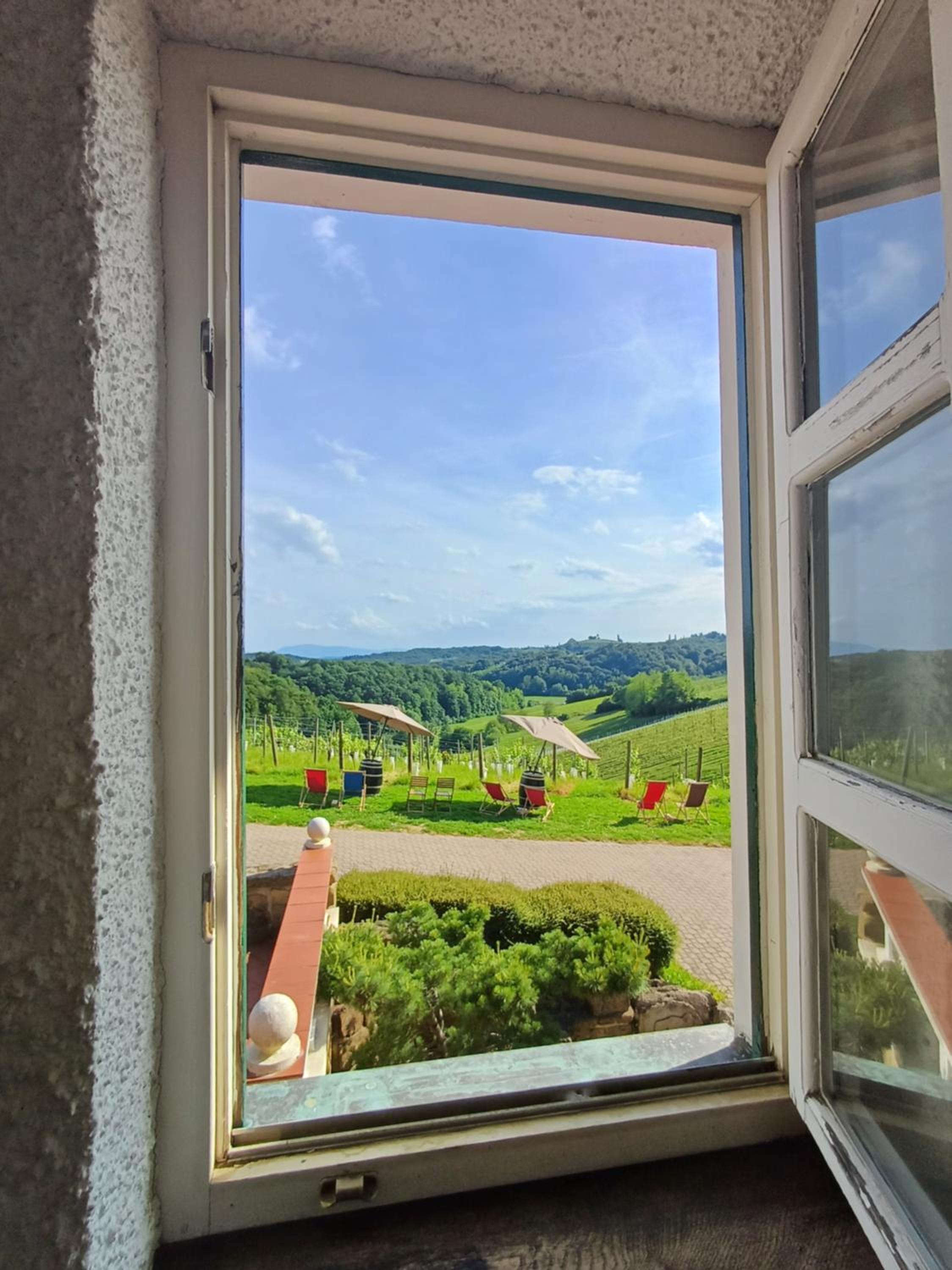Herga Wine Estate - Old lady - Holiday Home view 5