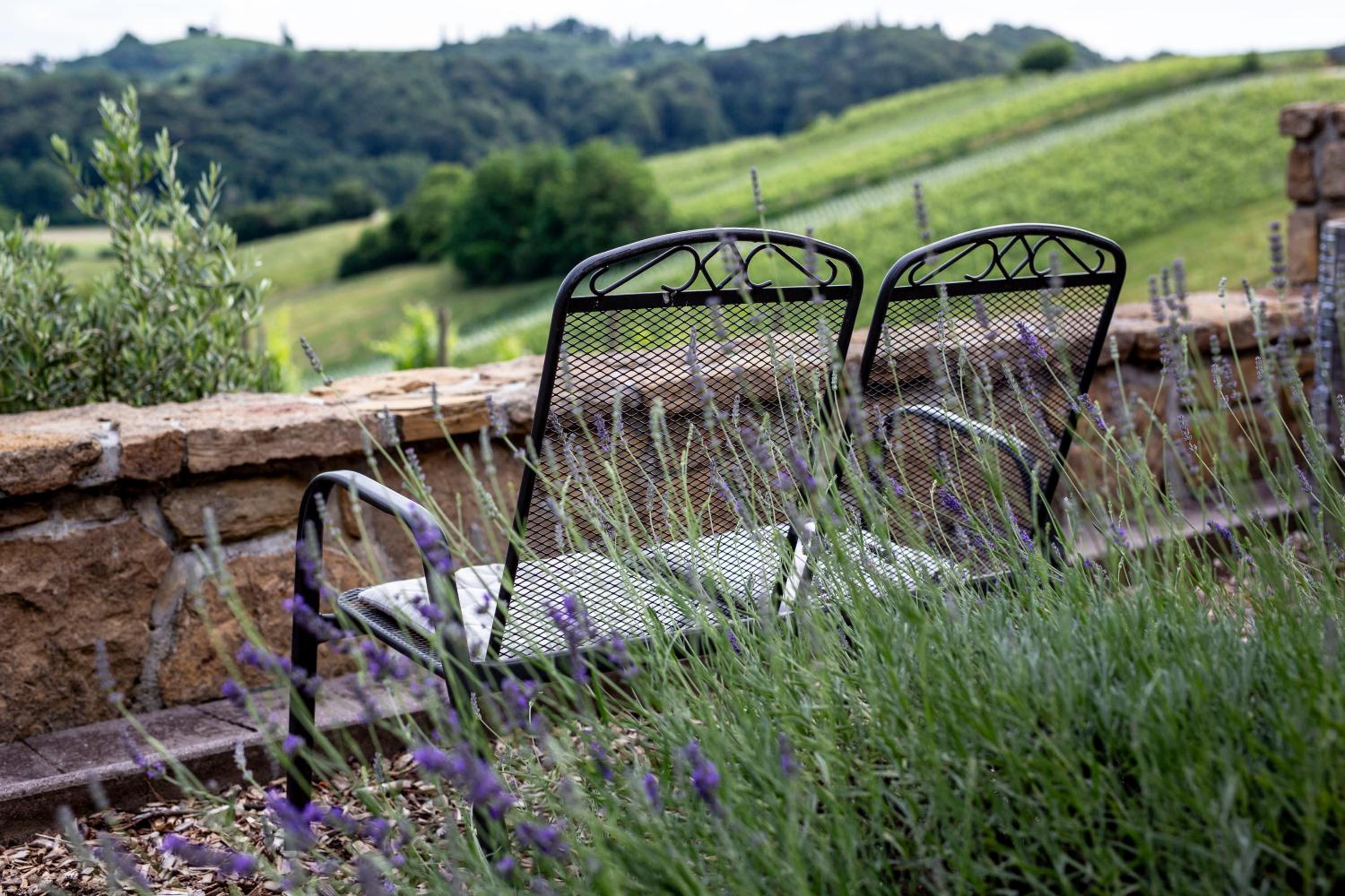 Herga Wine Estate - Old lady - Holiday Home view 2