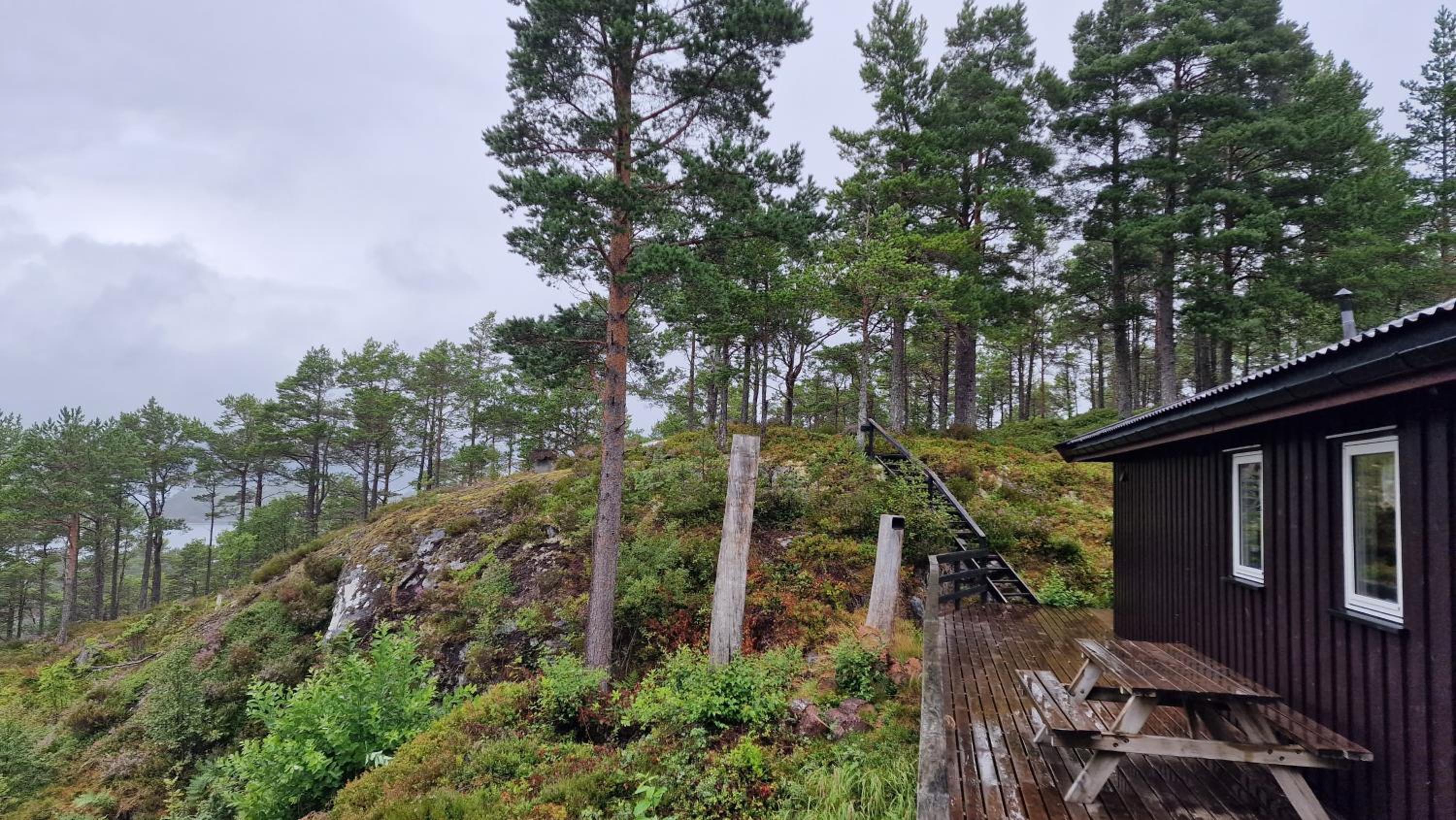 Utsikten