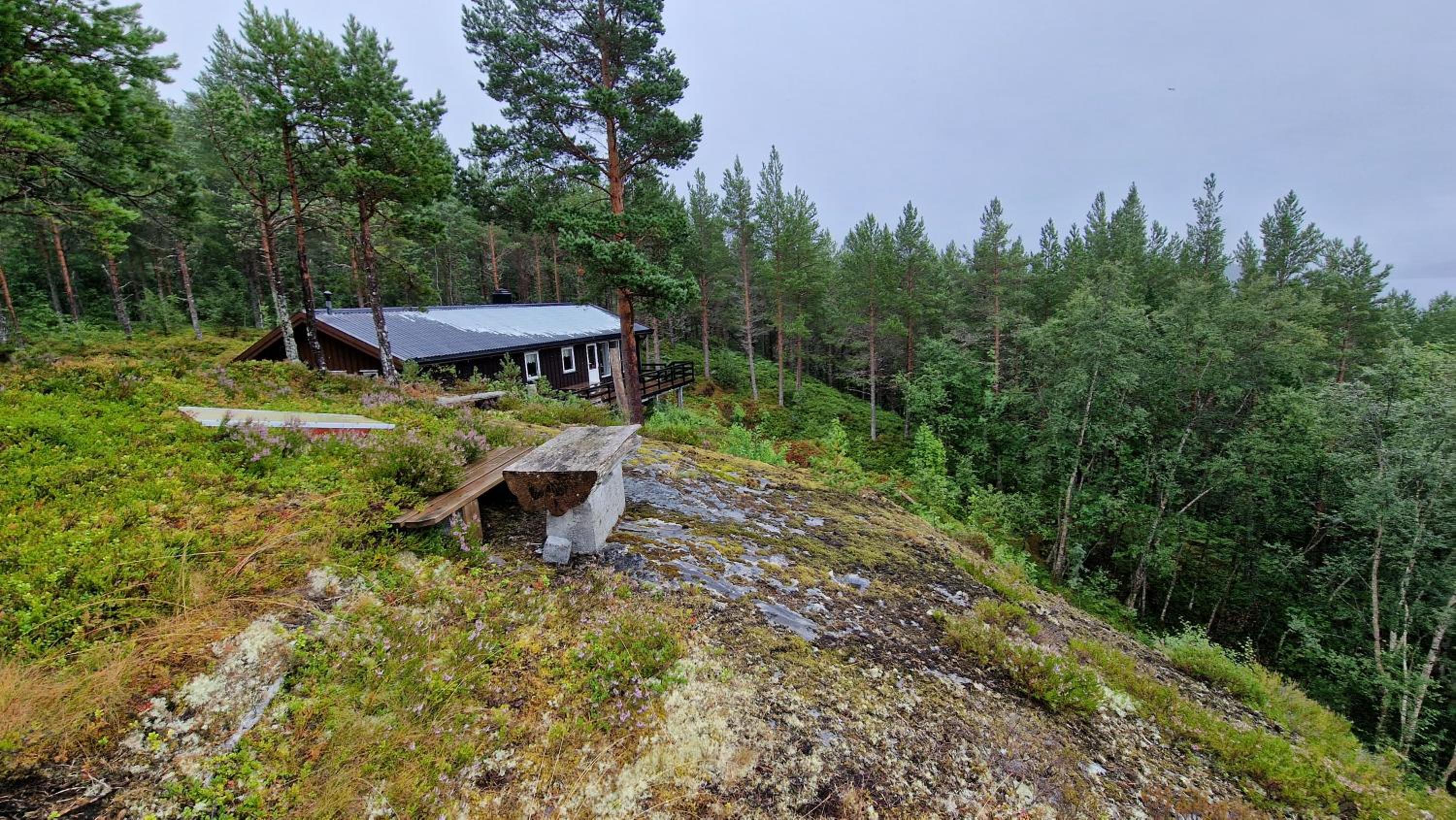 Utsikten