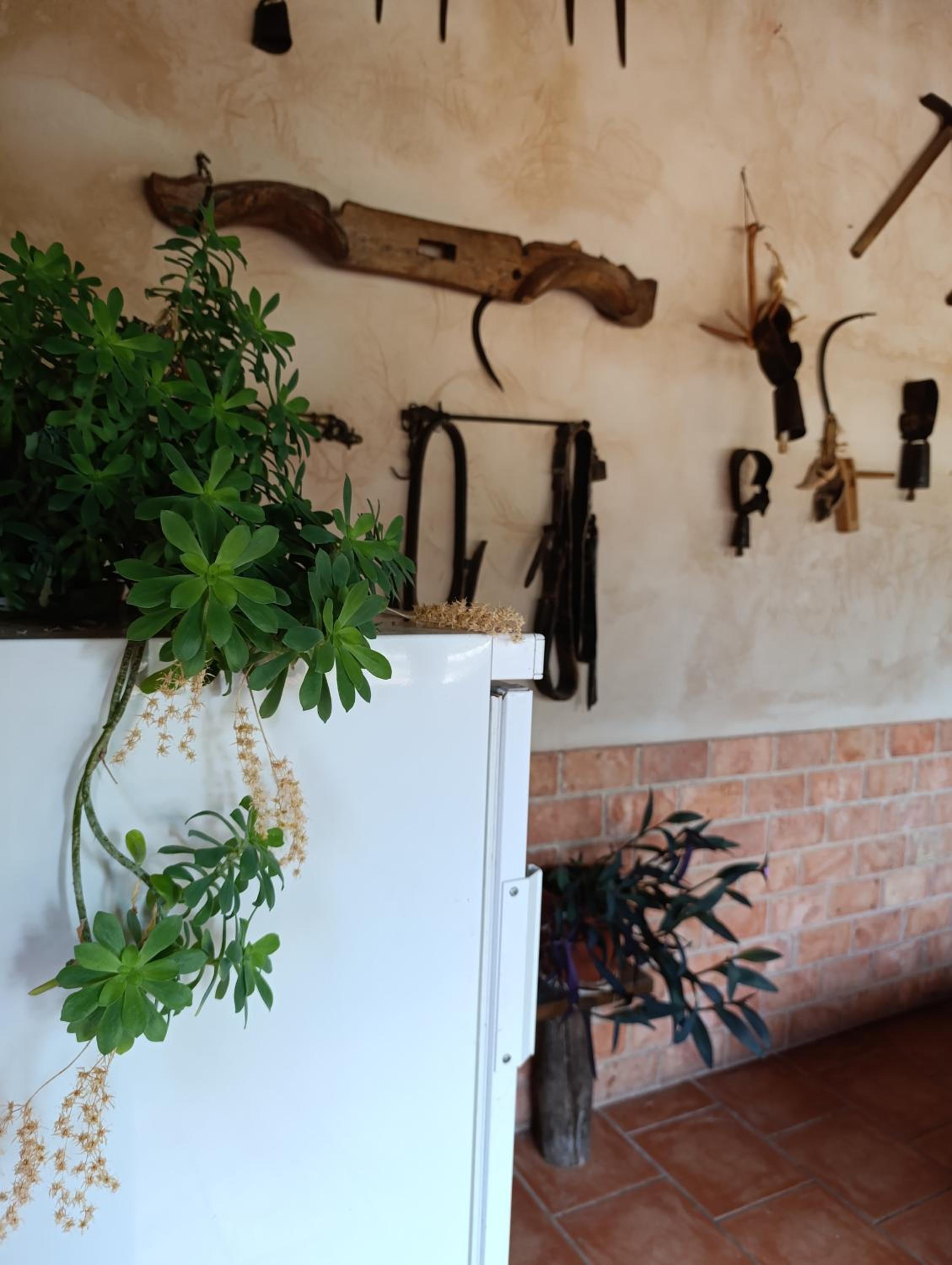 Casa Rural Teruel Alfambra LA DESHILLA