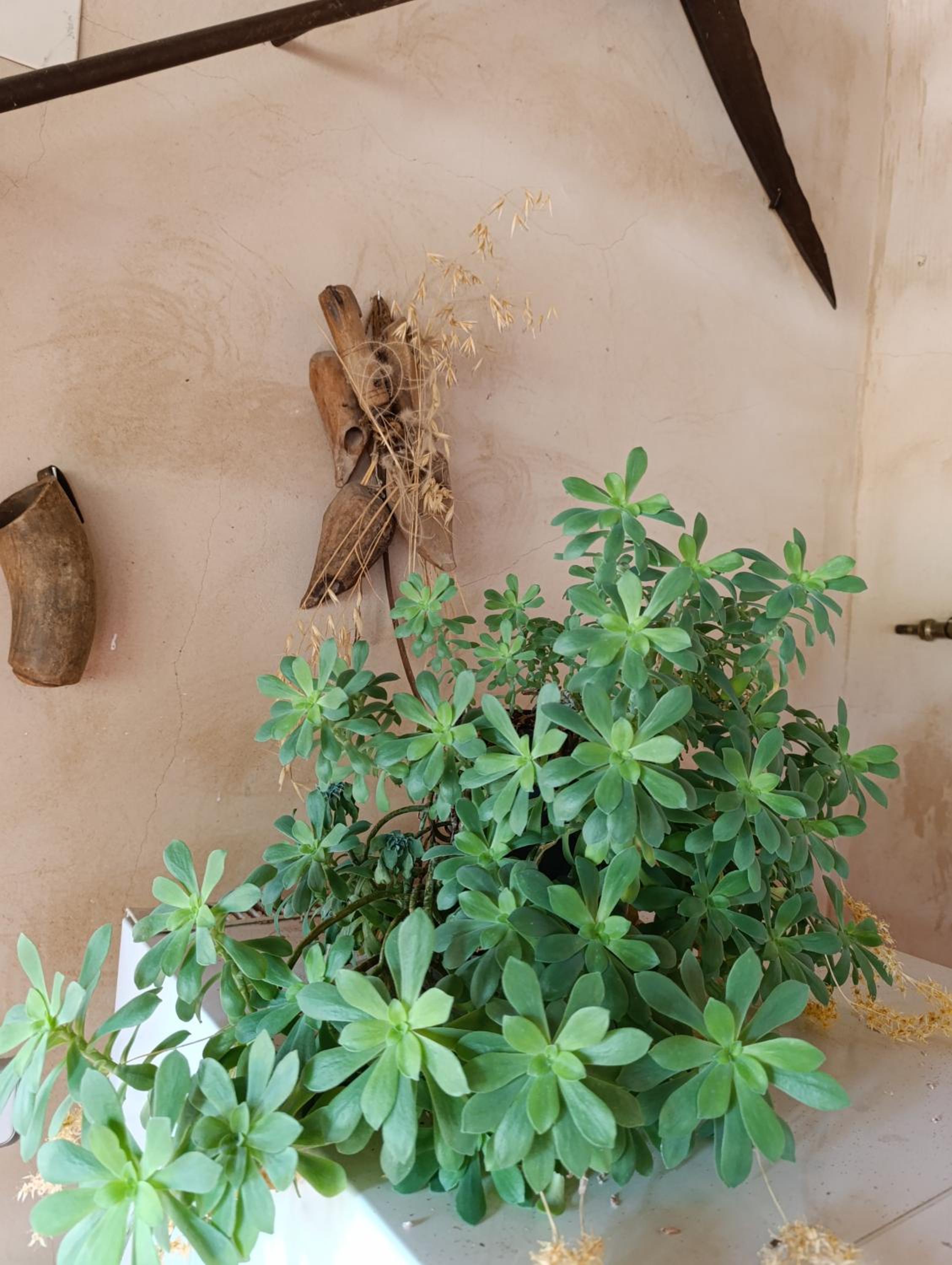 Casa Rural Teruel Alfambra LA DESHILLA