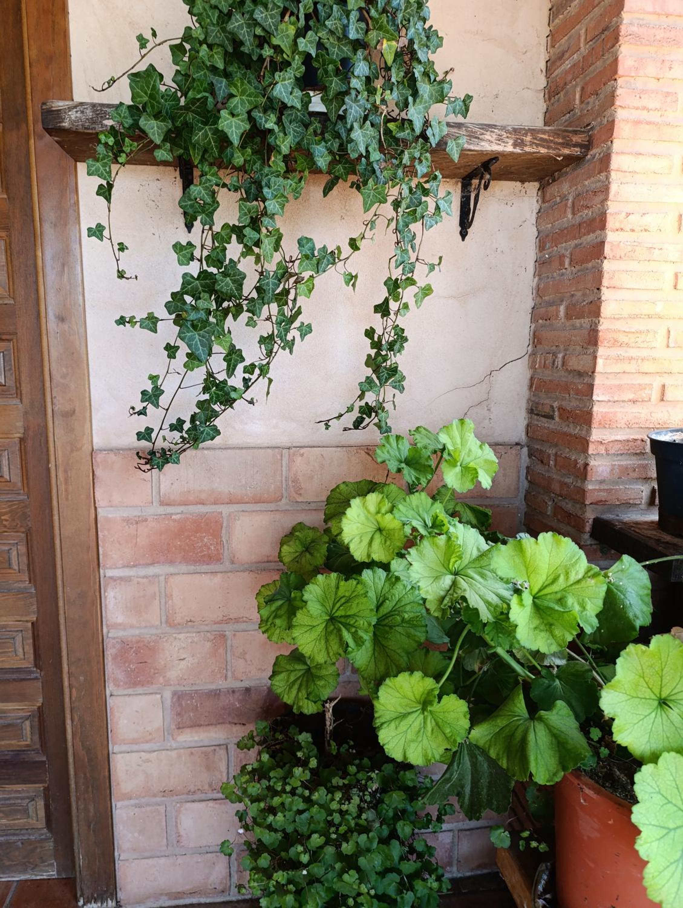 Casa Rural Teruel Alfambra LA DESHILLA