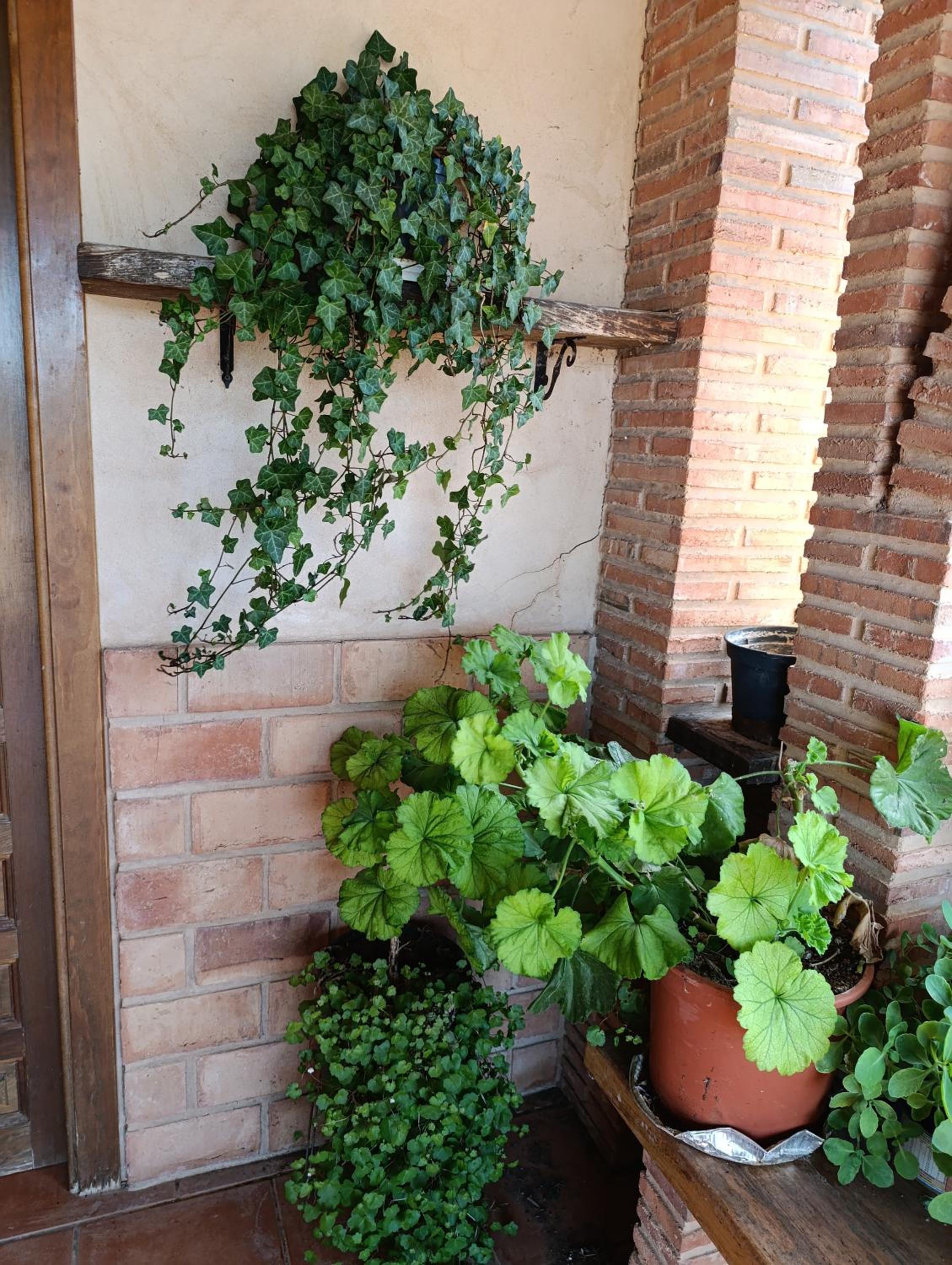Casa Rural Teruel Alfambra LA DESHILLA