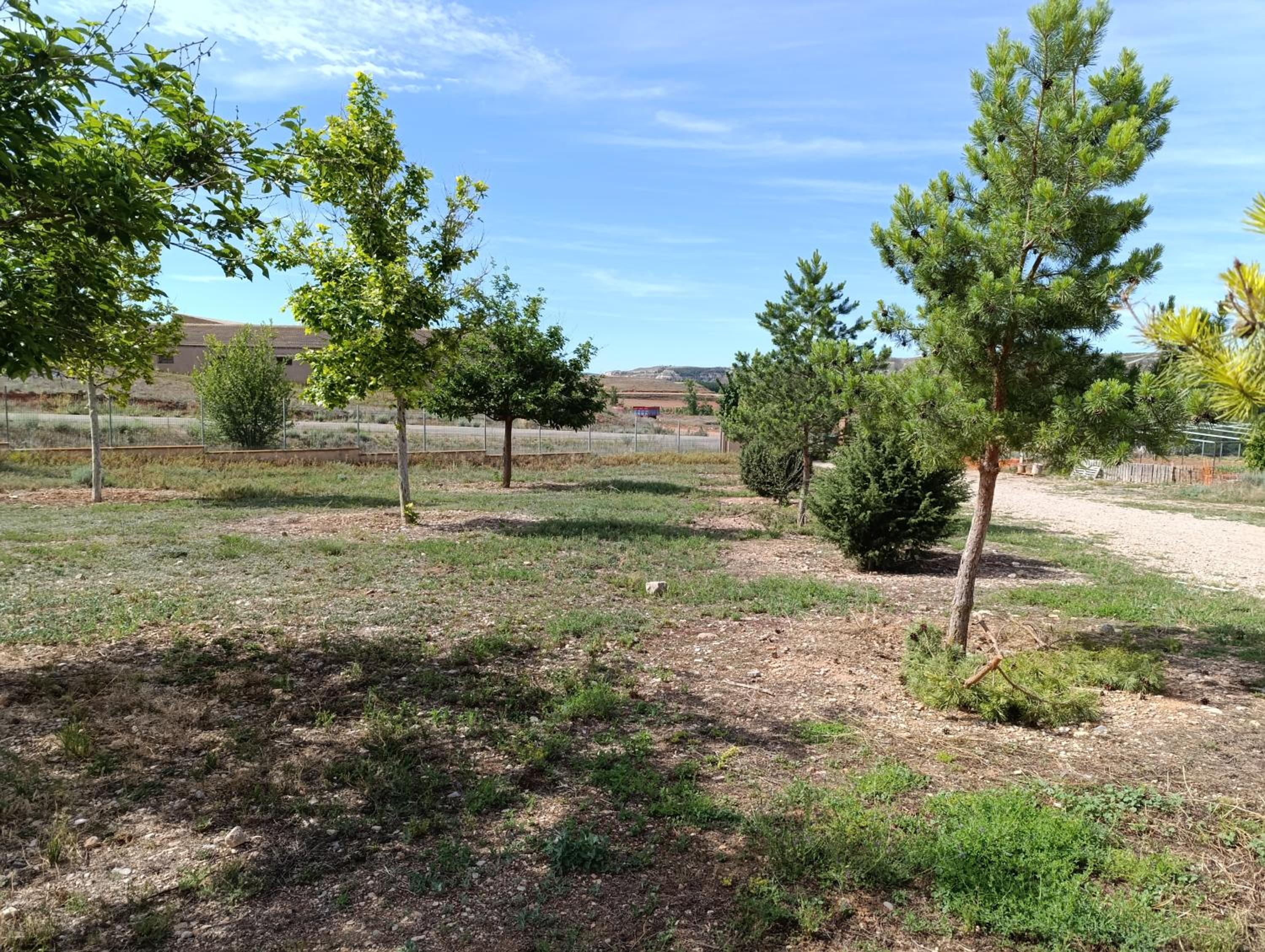 Casa Rural Teruel Alfambra LA DESHILLA