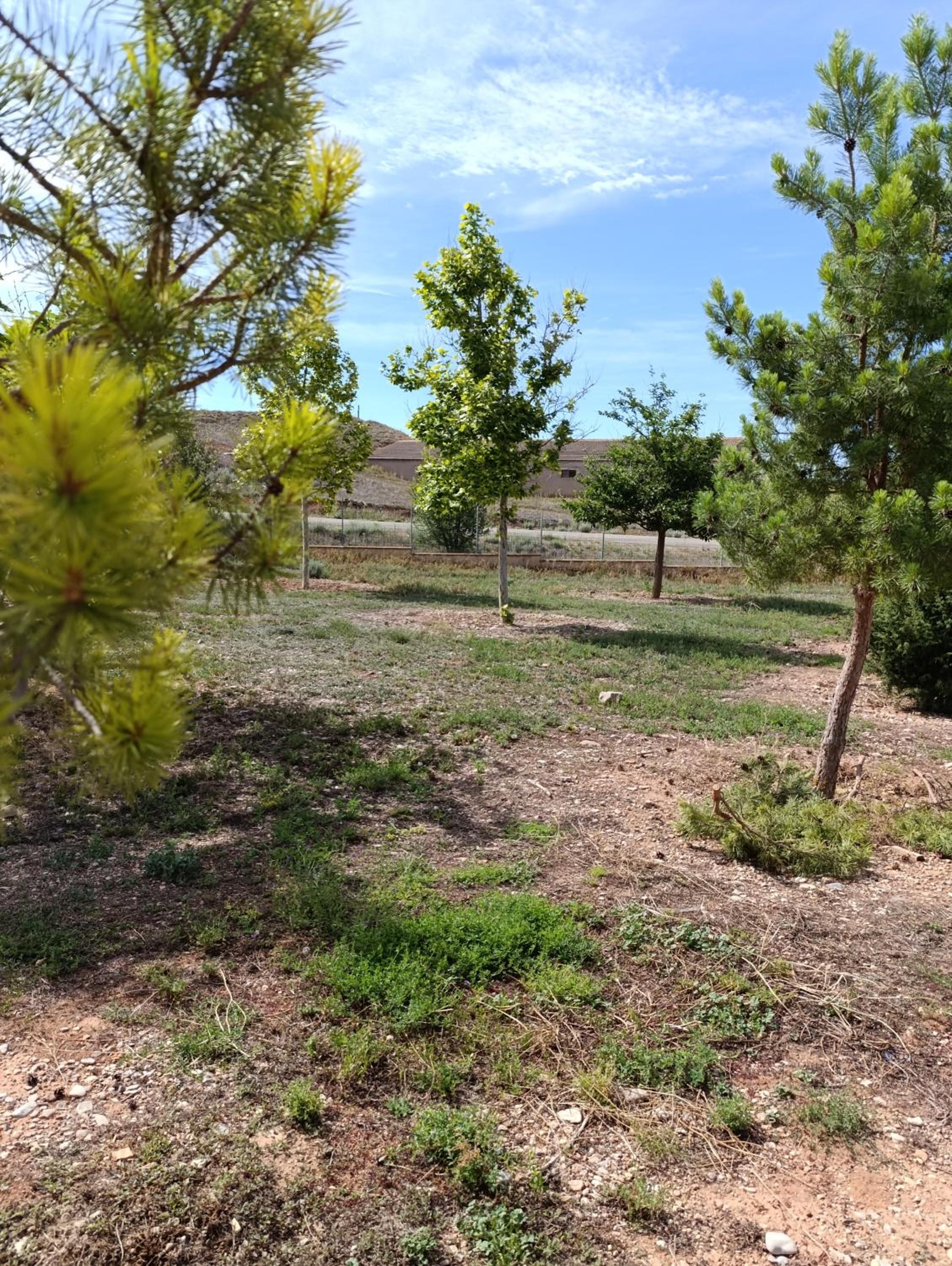 Casa Rural Teruel Alfambra LA DESHILLA
