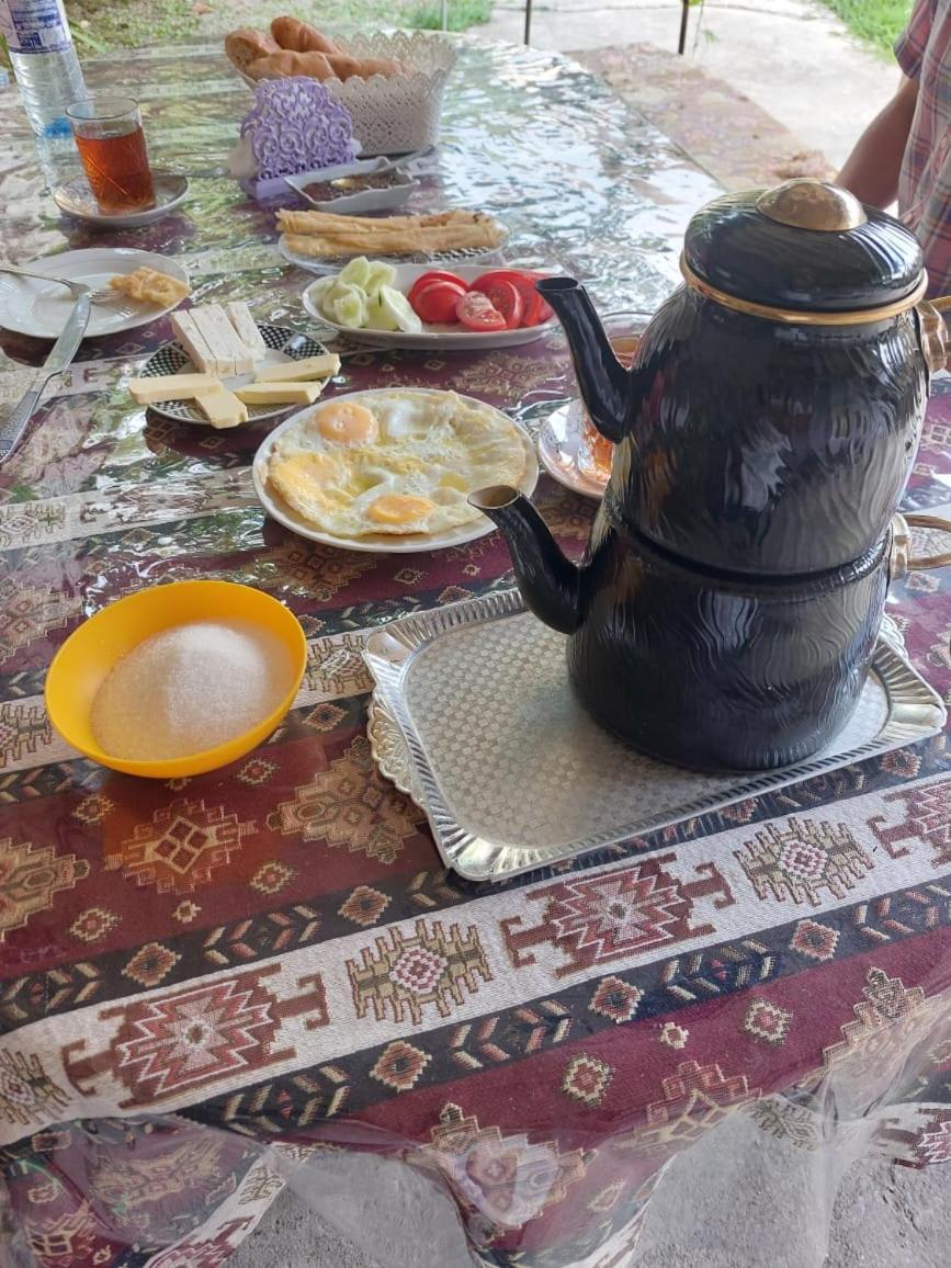 Ilgar's Guesthouse