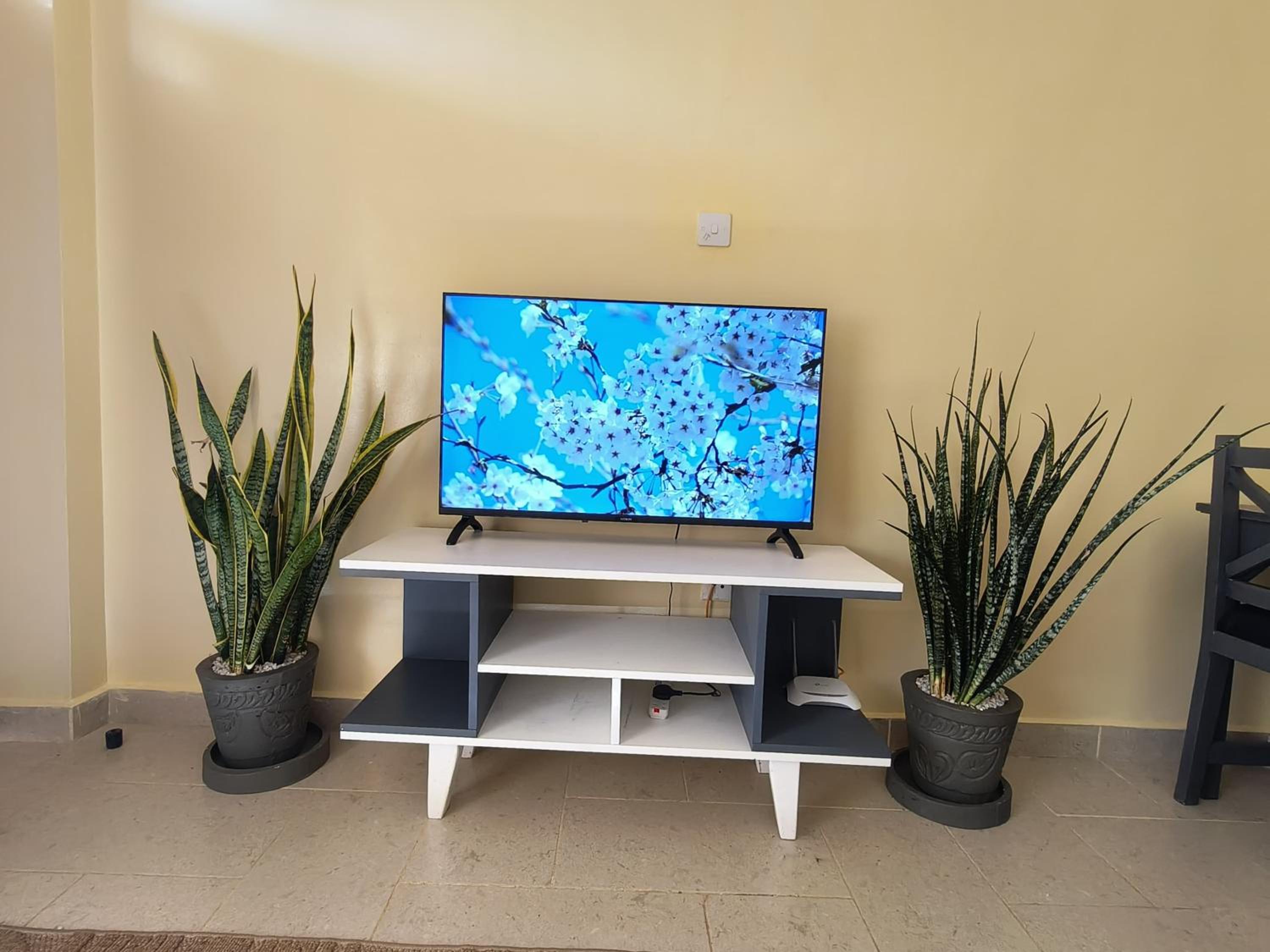 Zola one bedroom furnished apartment view 3