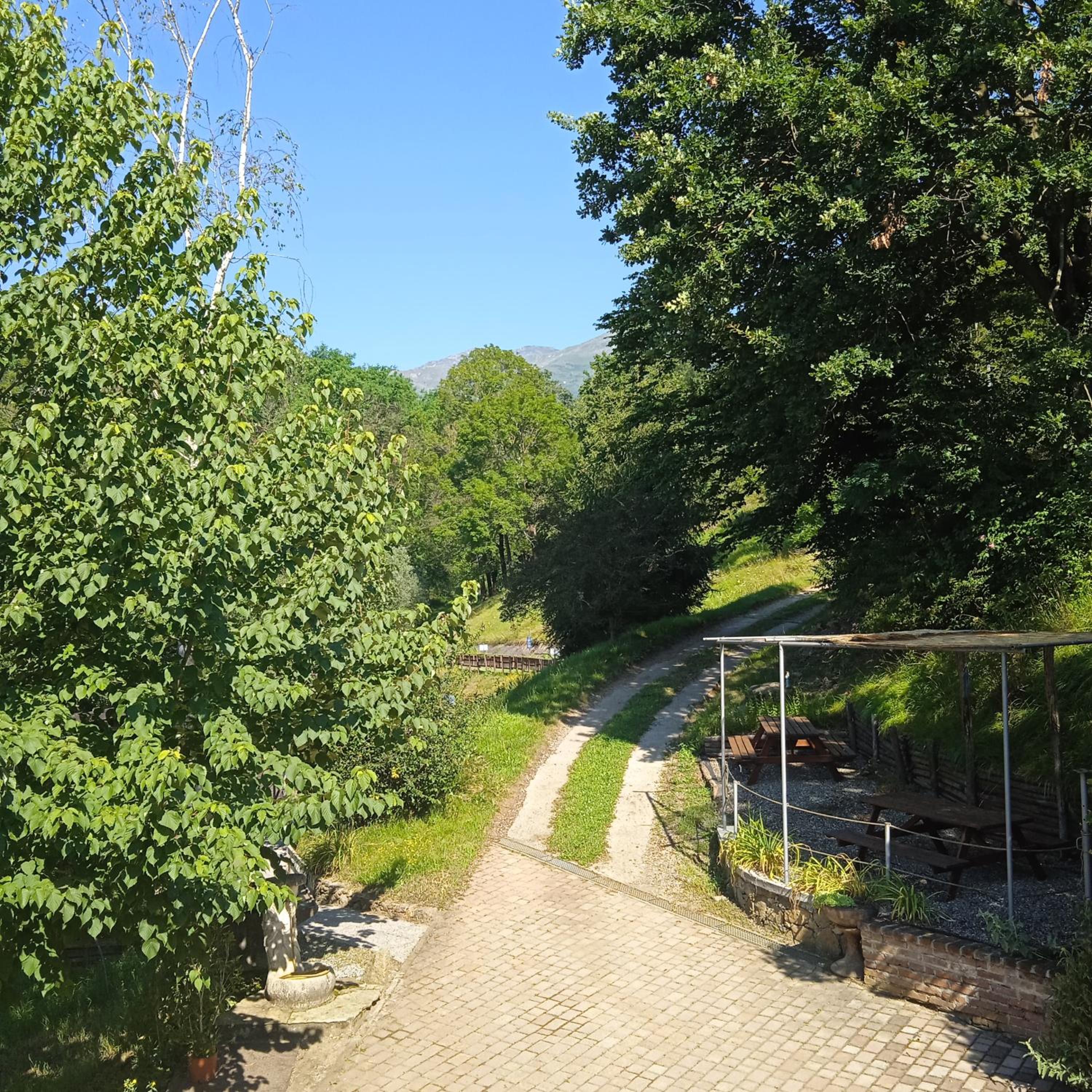Il canto del bosco view 5